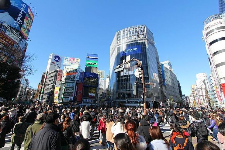 Shibuya | Japan Up Close