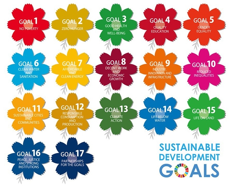 Graphic of the 17 Sustainable Development Goals