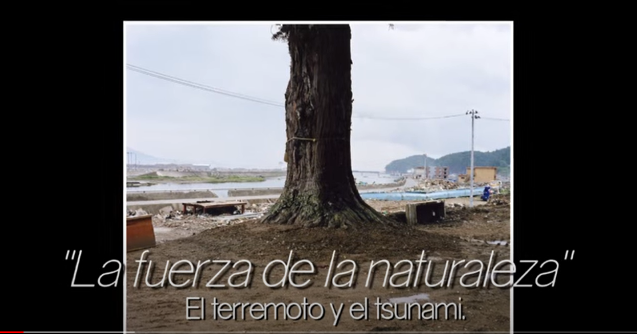 (Video)La fuerza de la naturaleza. El terremoto y el tsunami.