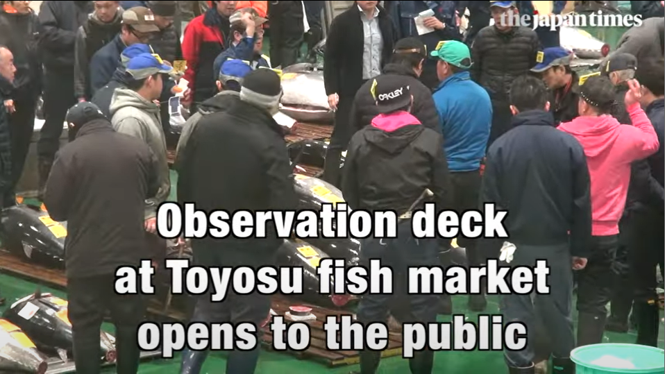 (Video)Observation deck at Tokyo’s Toyosu fish market opens to public