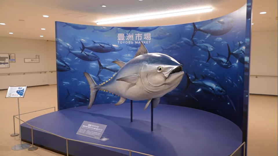 (Video)Walkthrough of Toyosu fish market’s observation area [RAW VIDEO]