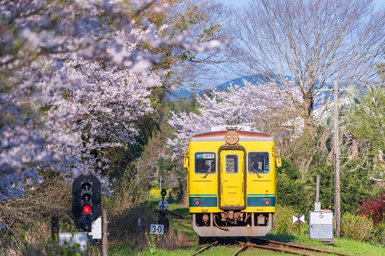 Spring buy Journey 1 - Japan Diorama, Sakura Countryside Railway Scene