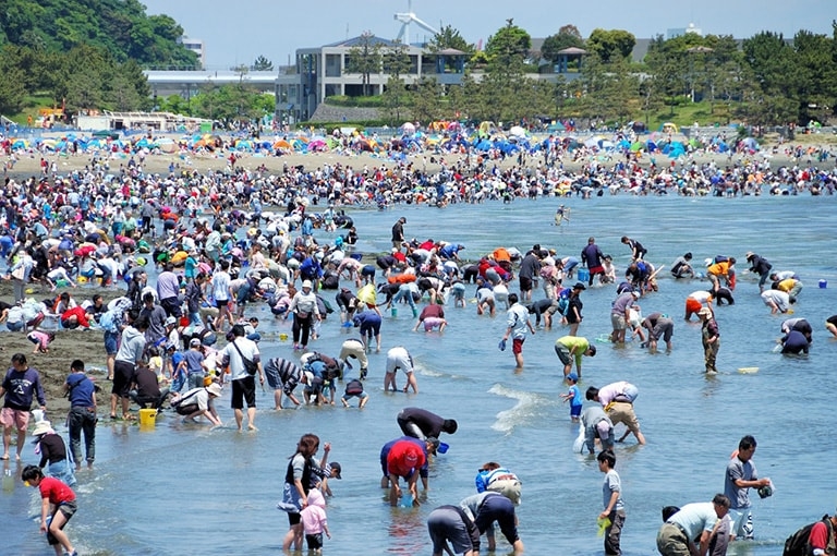 A beach in Japan crowded with people digging for clams