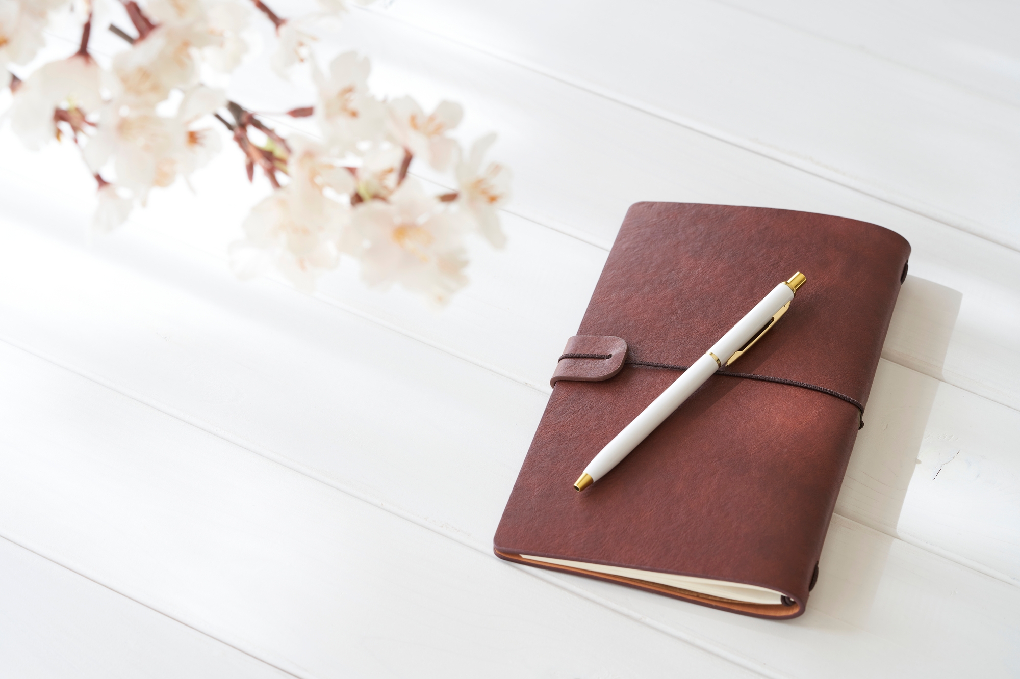 A leather appointment book and pen, next to a sakura blossom