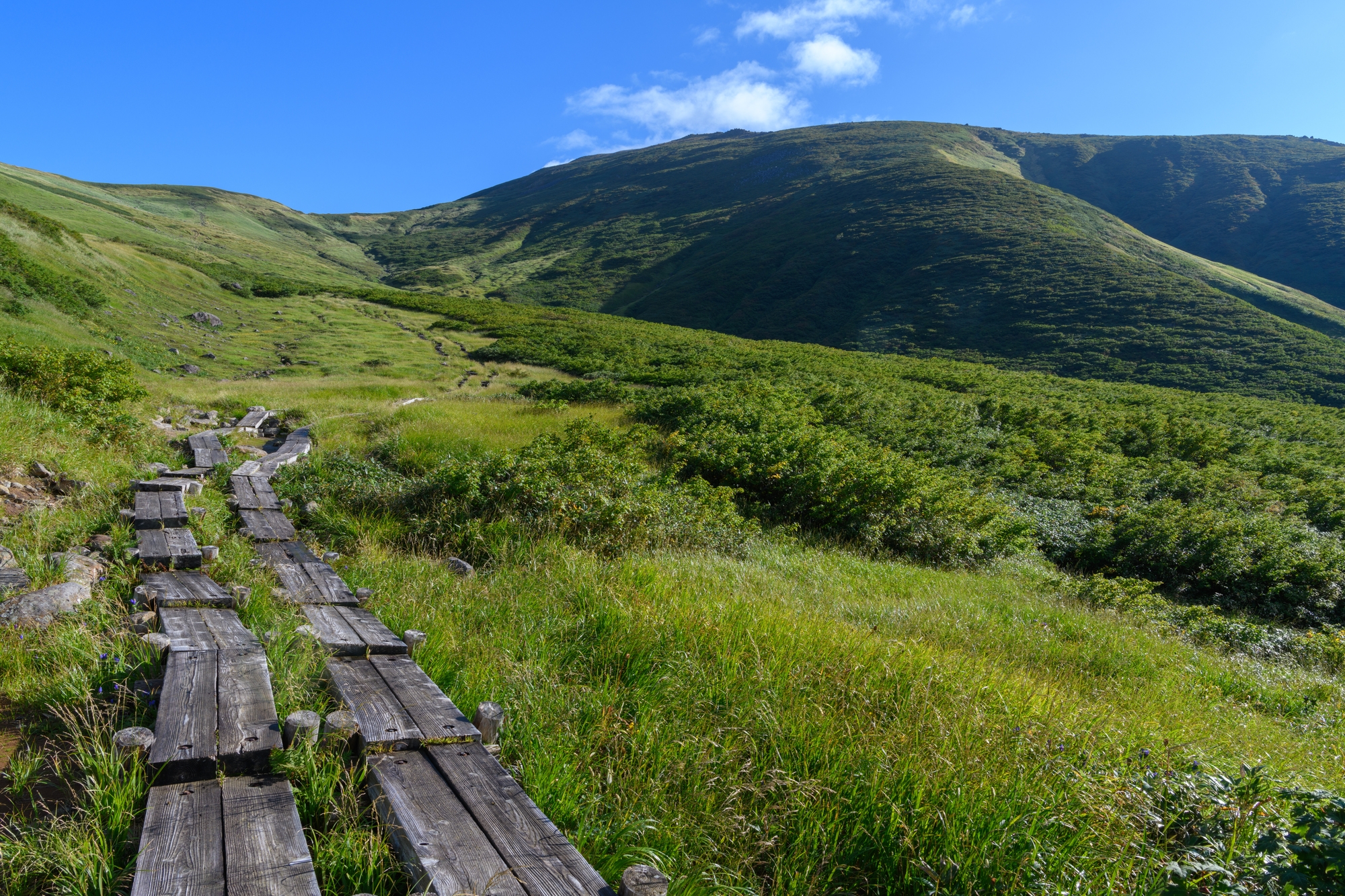 A trail of planks over a grassy hill