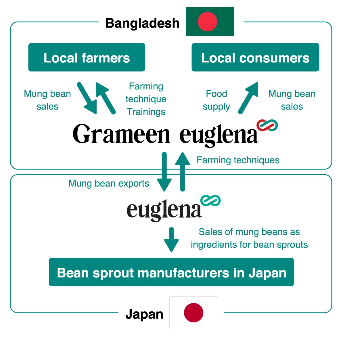 Chart of the mung bean project business model