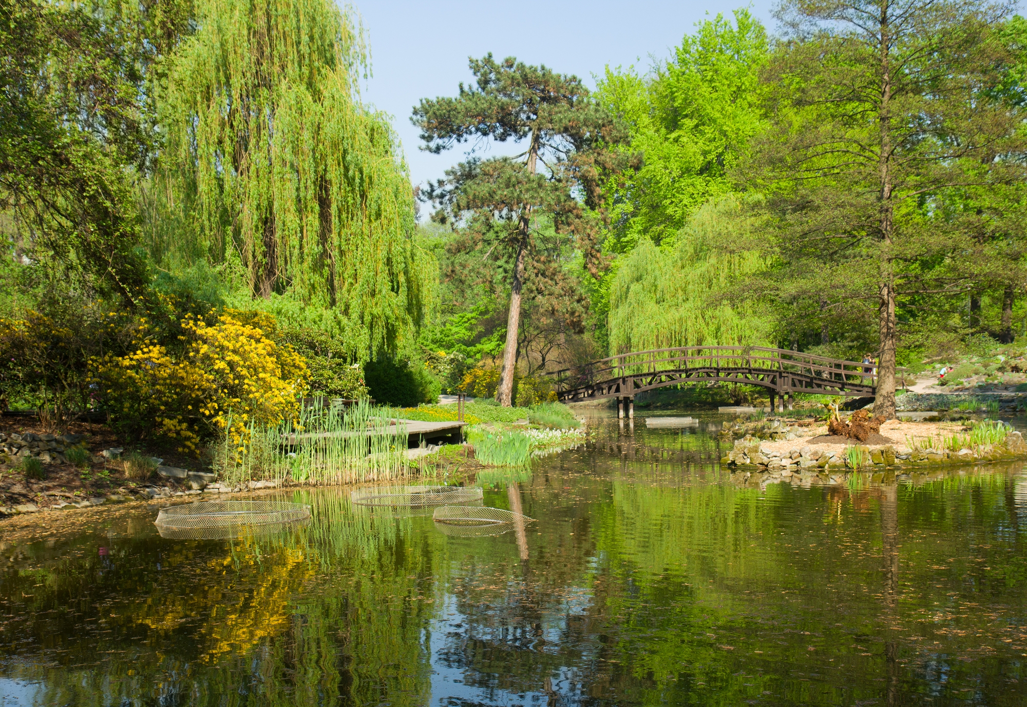 Japanese garden in Wroclaw in Poland