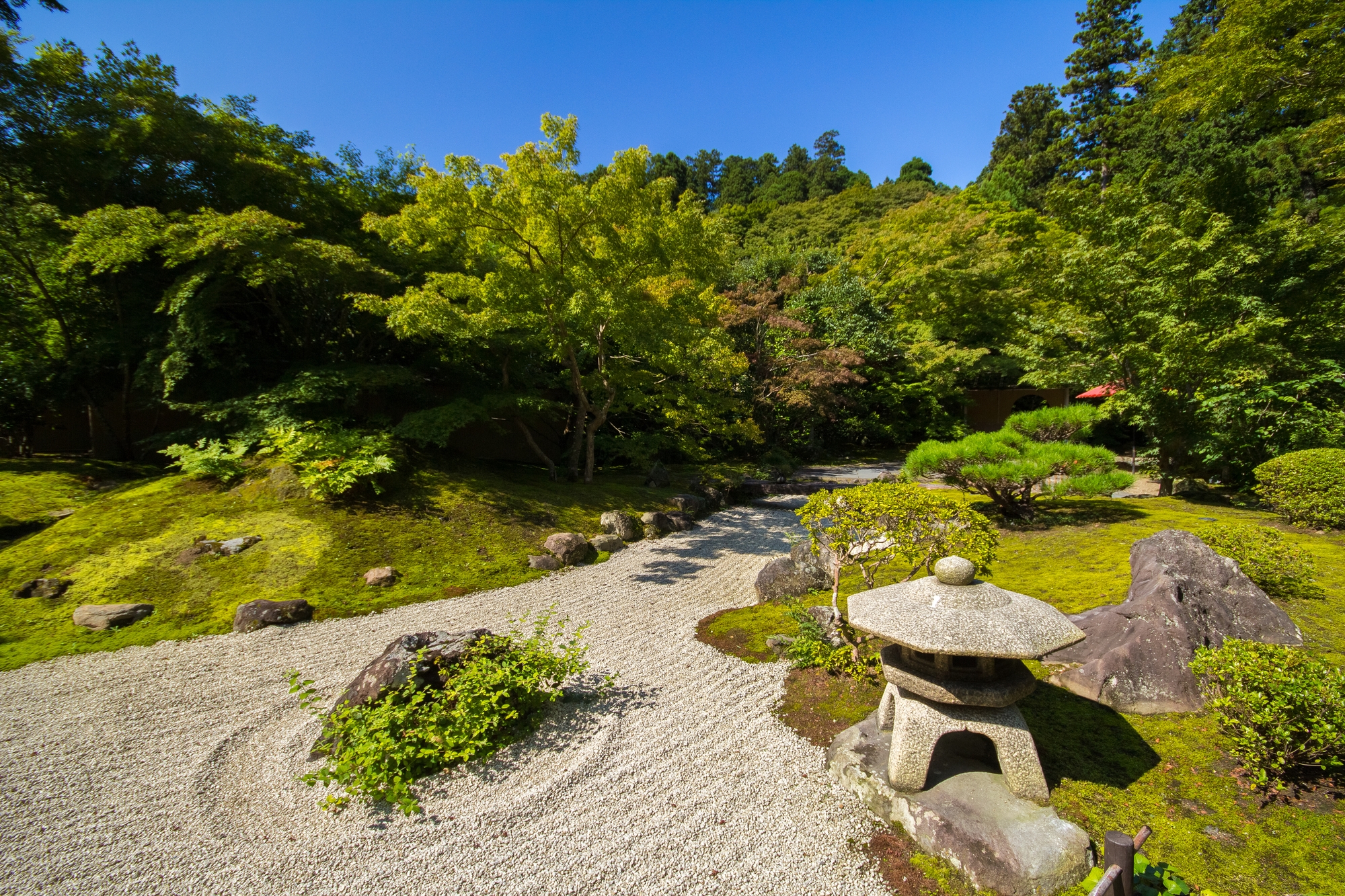 Japanese garden in Wroclaw