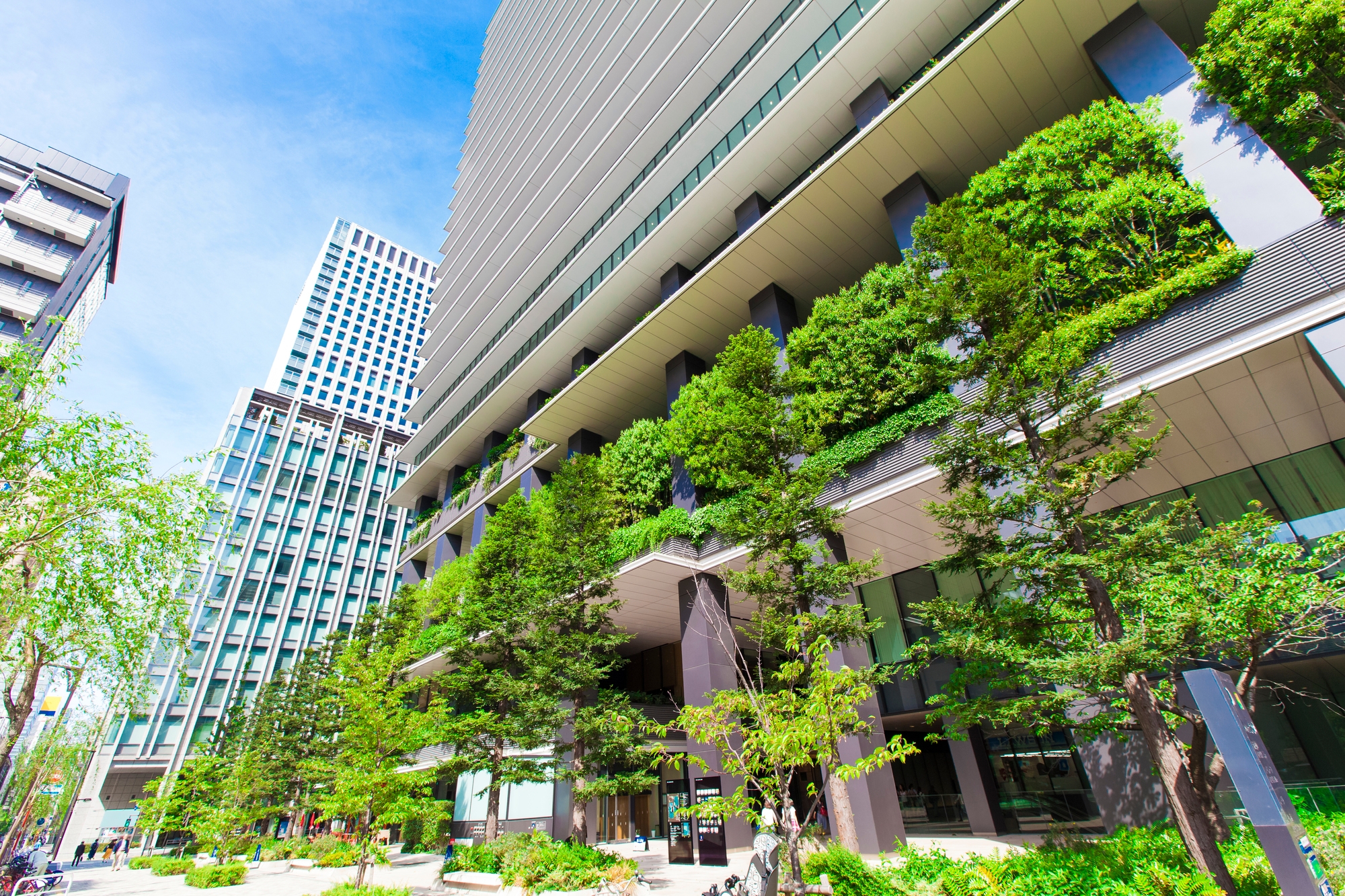 An office building designed with thick greenery