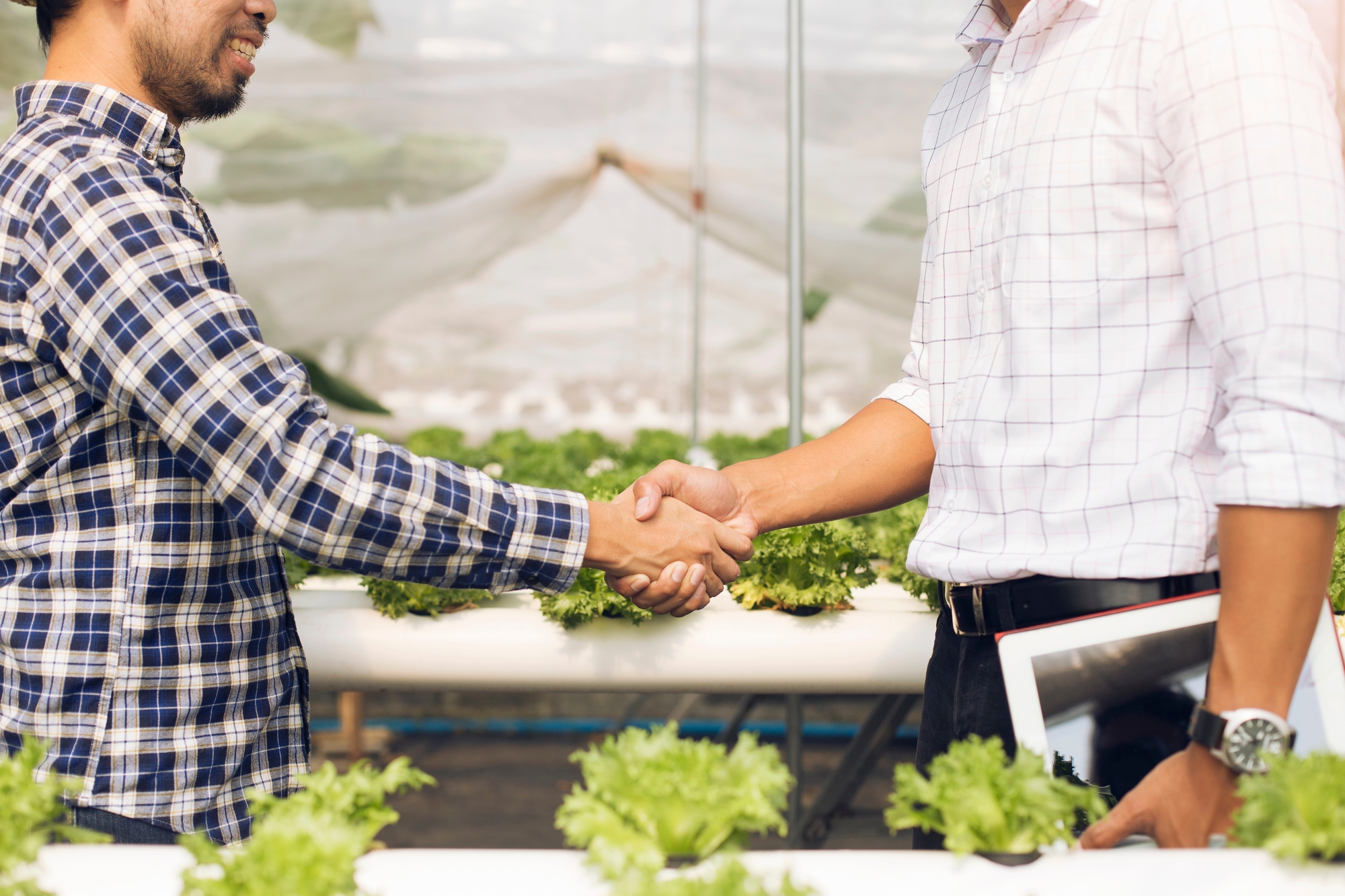 Two people in a farm greenhouse shaking hands