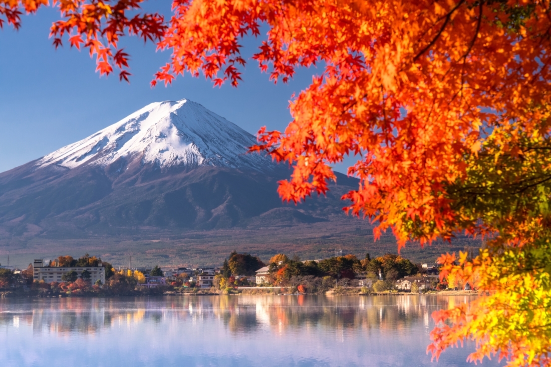 The Scenery Of Late Fall Japan Up Close