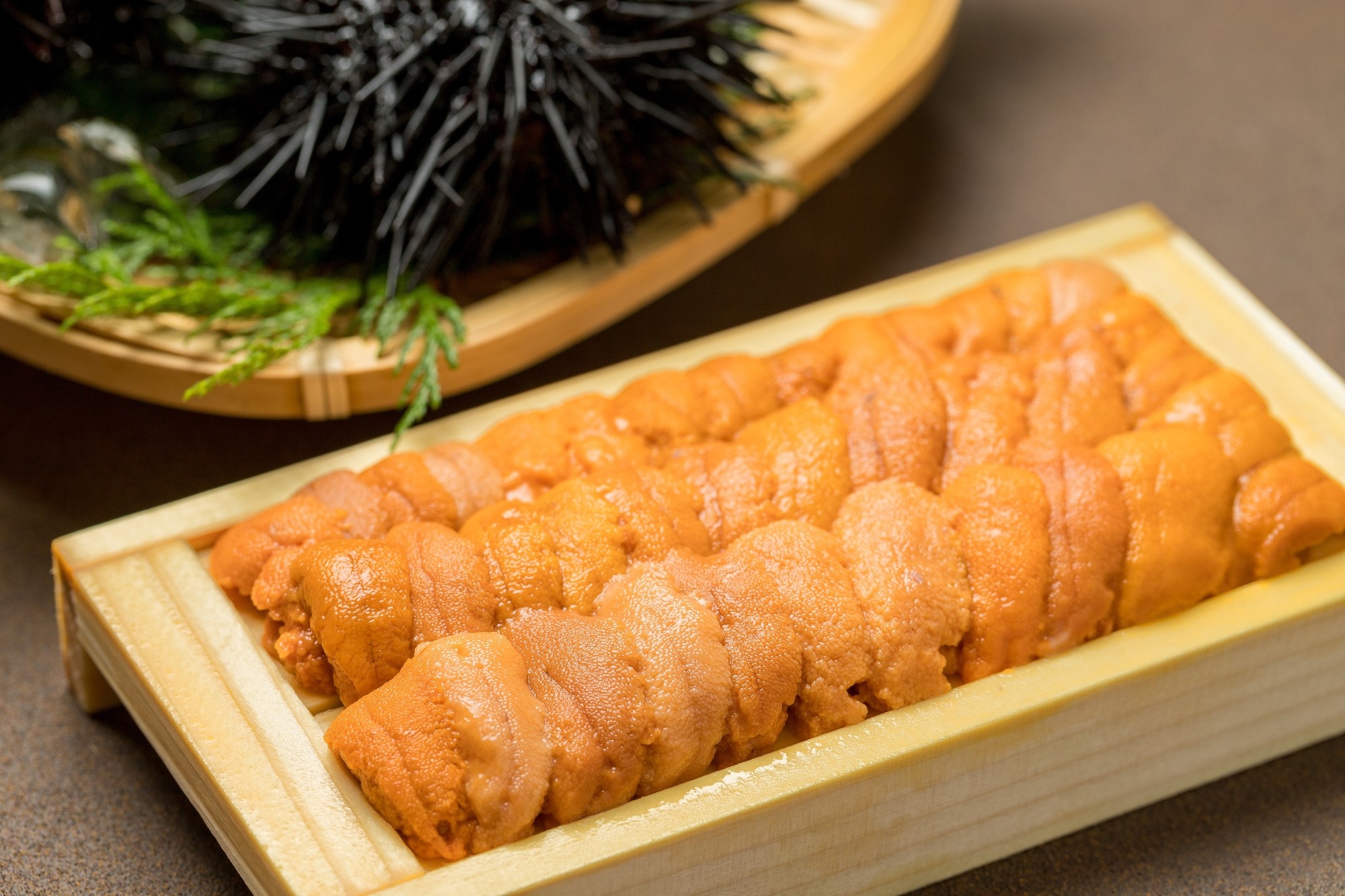 A tray of sea urchin meat