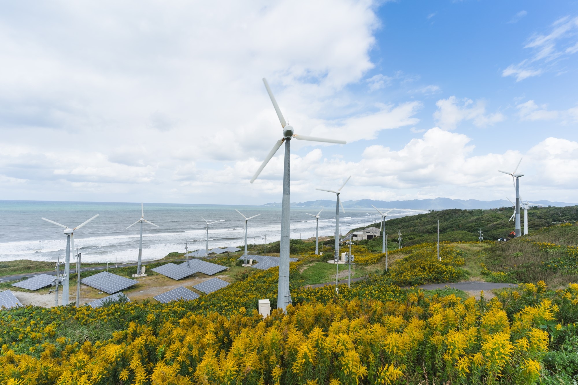 Wind farm on the Japan coast