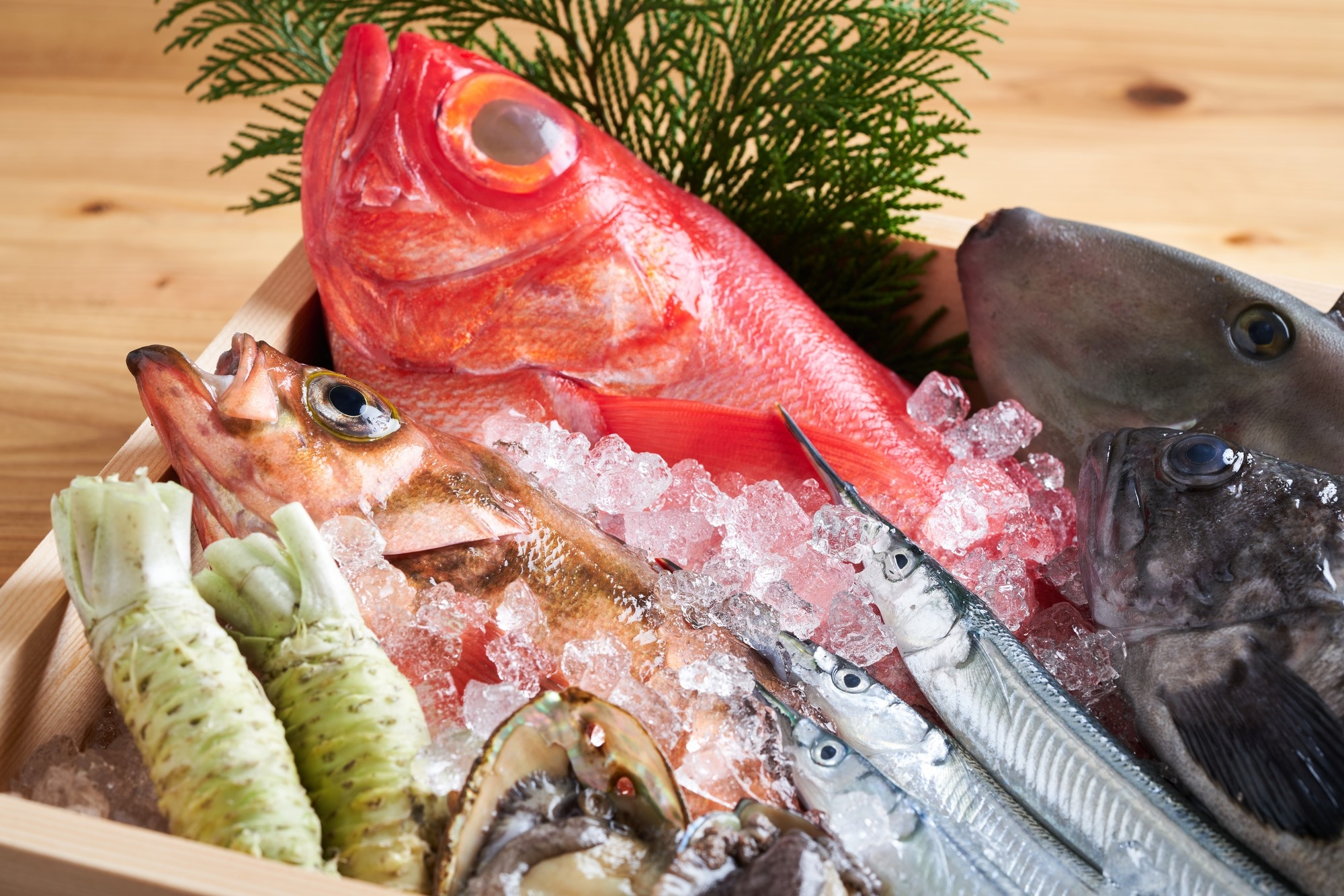 A selection of fresh fish and oysters, with two stalks of wasabi