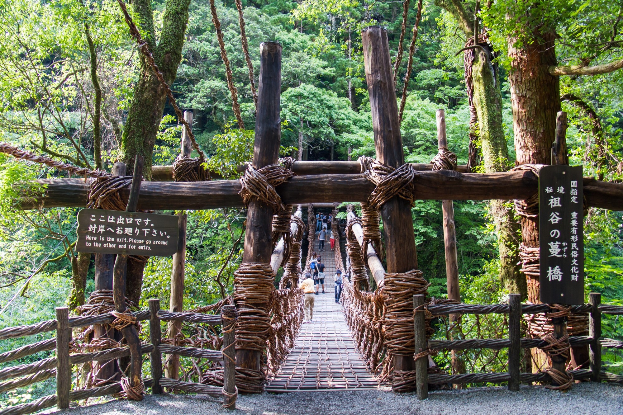 A view of the Kazura Bridge