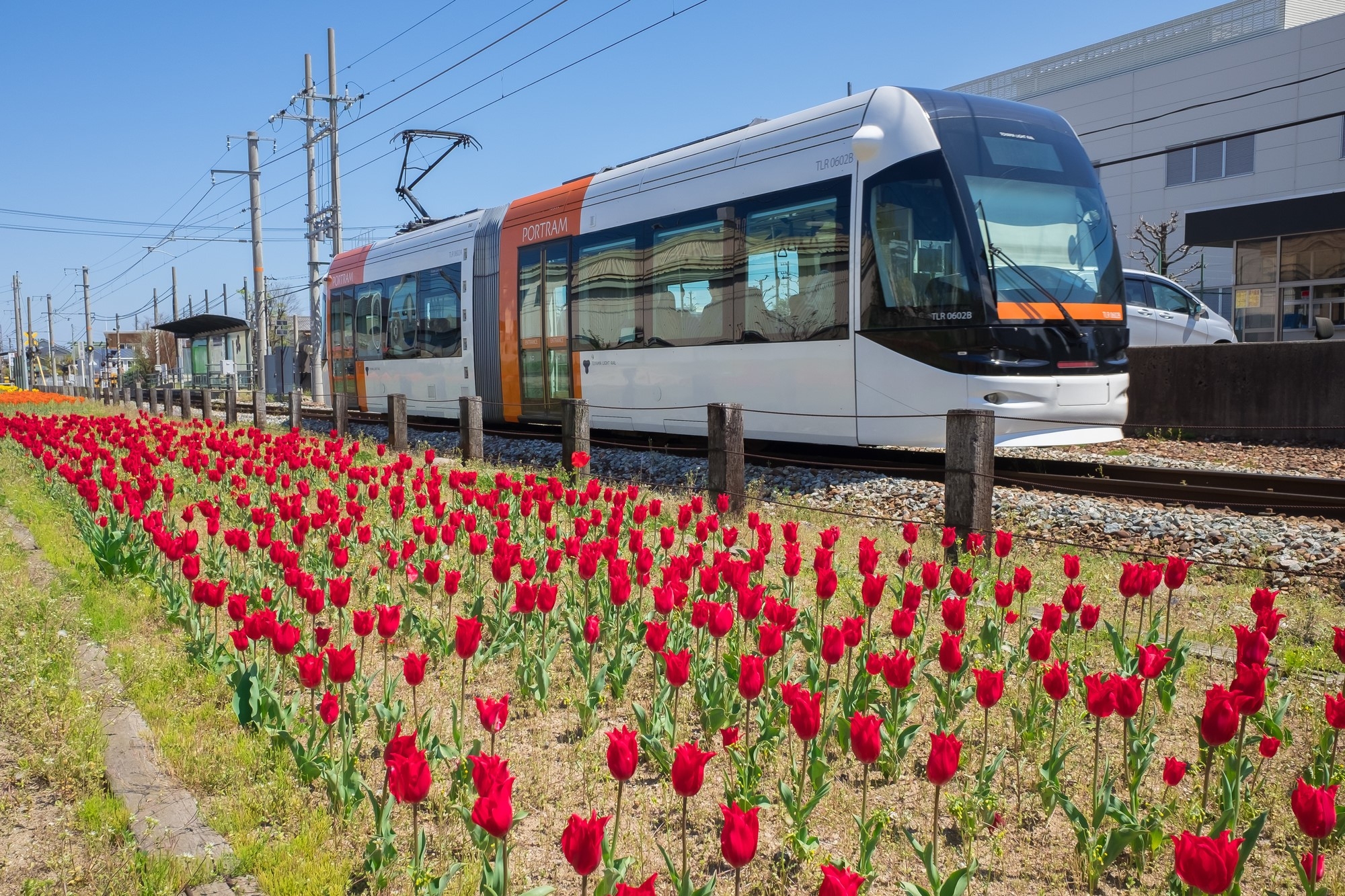 A streetcar in Toyama City 1