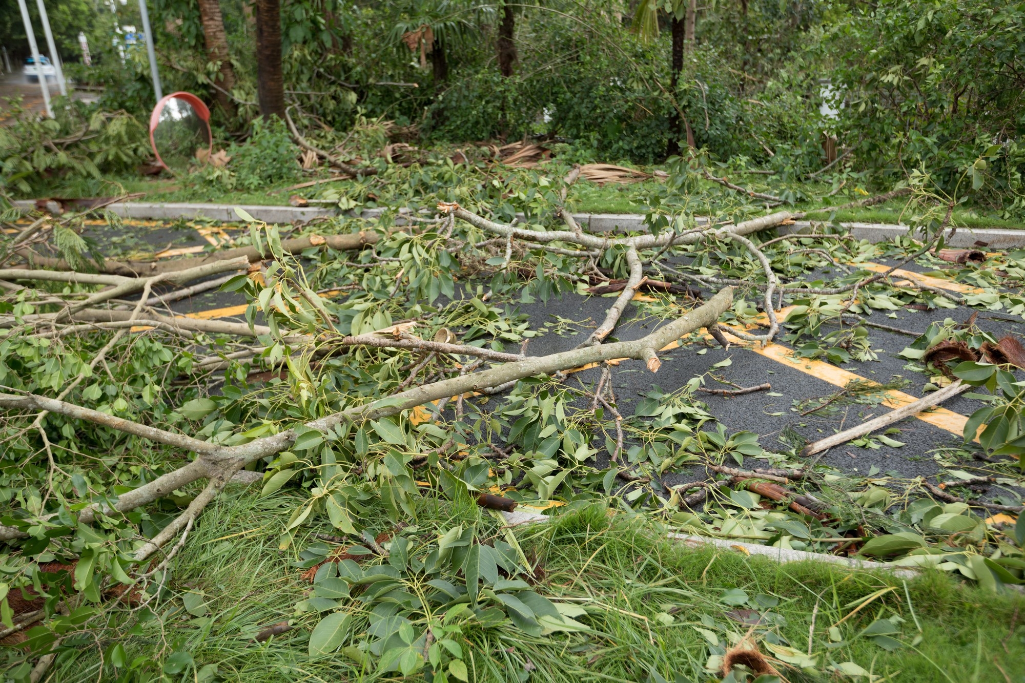 Typhoon damage in Philippines 