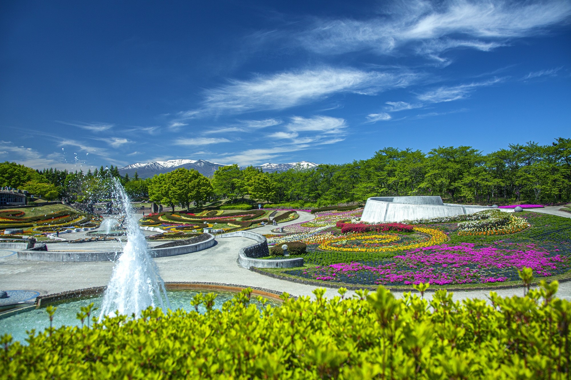 Large round flower beds with color flowers and large fountains