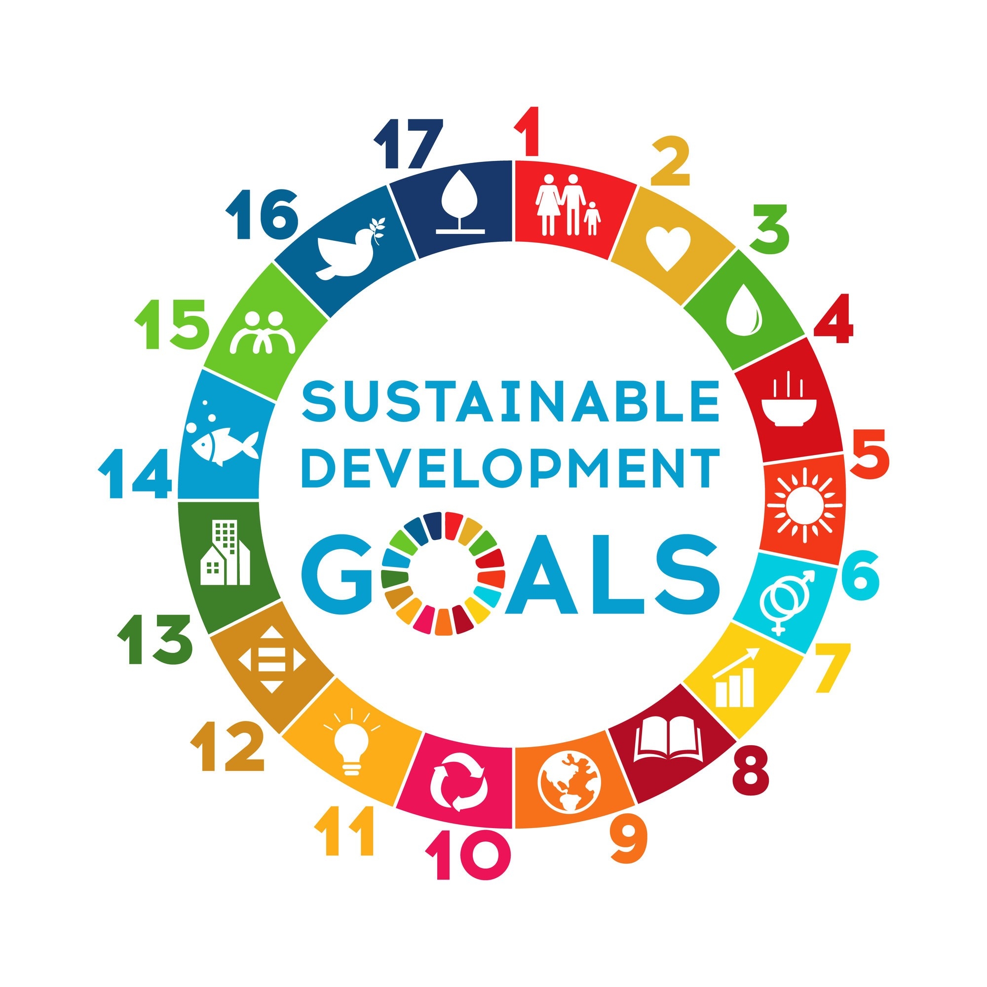 Graphic showing the 17 SDGs