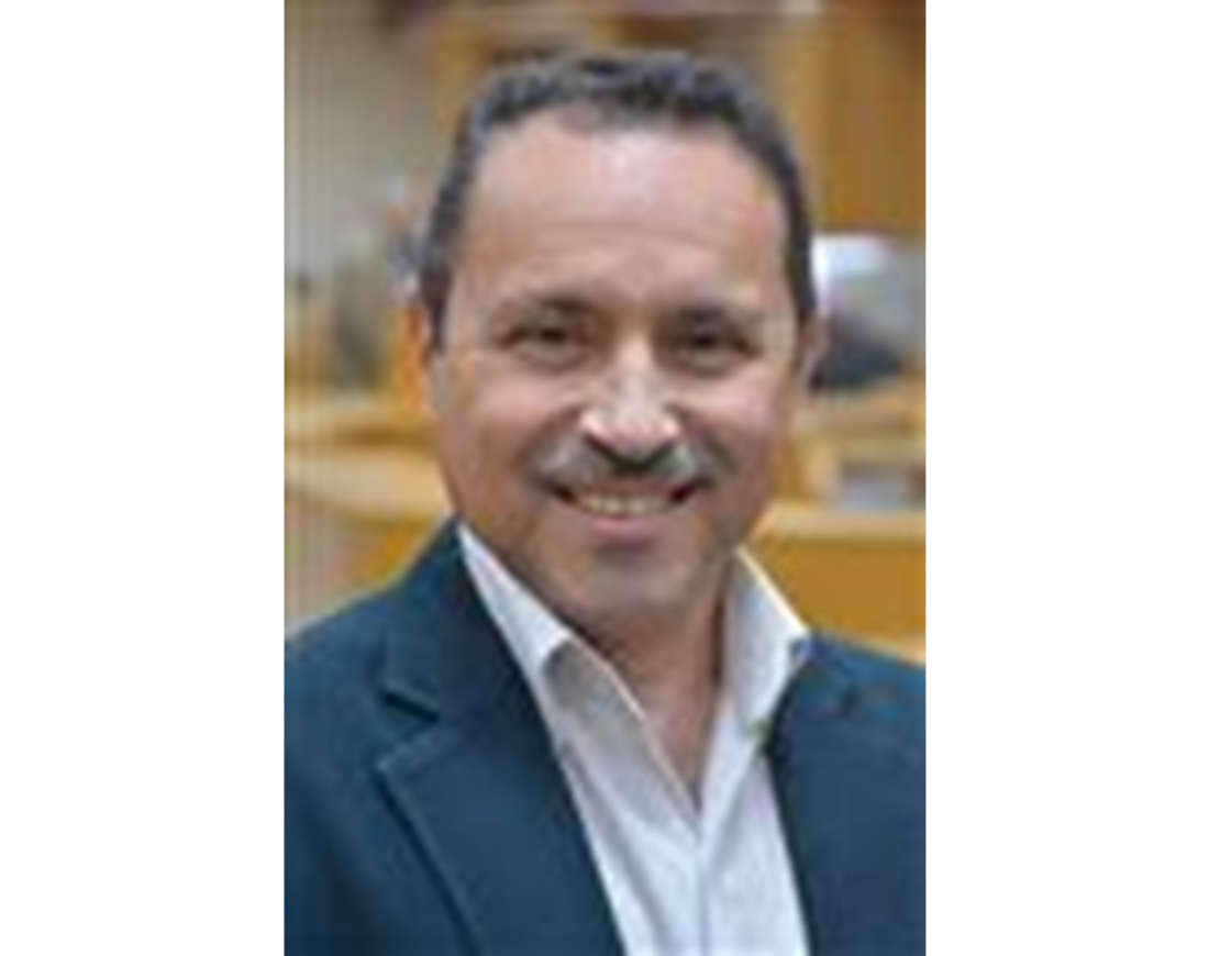 Birds Chirp Japan Up Close Birds Chirp Japan Up Close