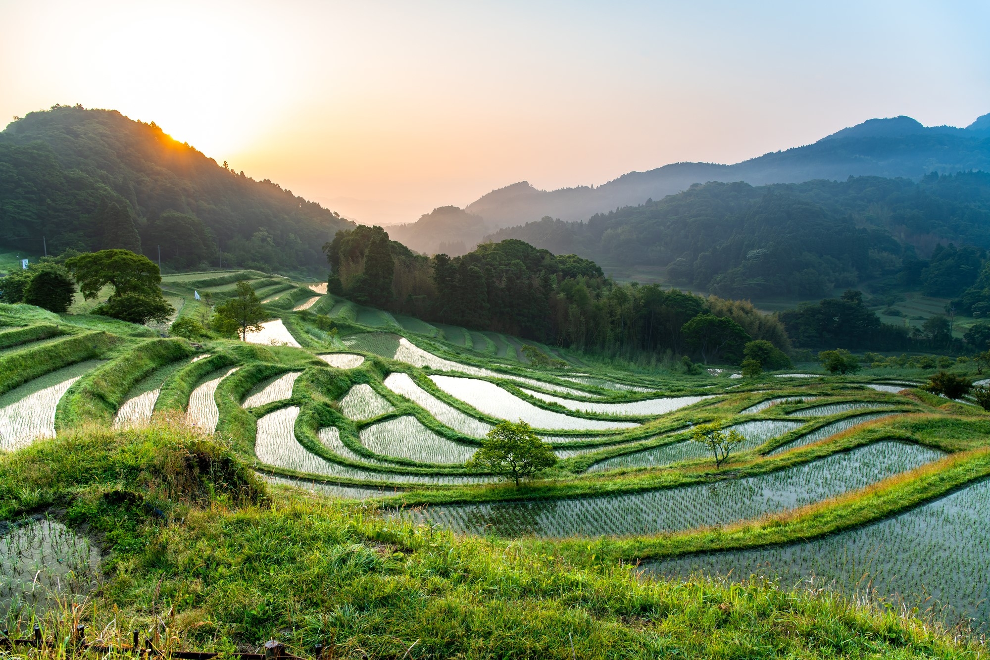 Japanese Rice Field Terraces Beautiful Rice Terraces In Japan BANF Japanese Rice Field Terraces Beautiful Rice Terraces In Japan BANF