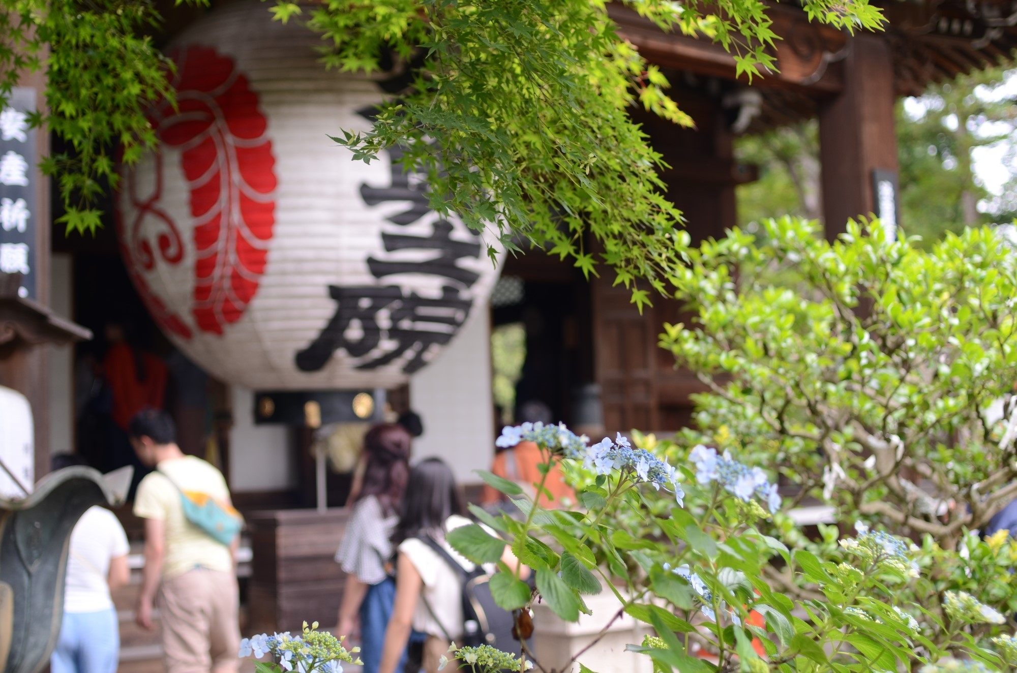 People visiting a temple