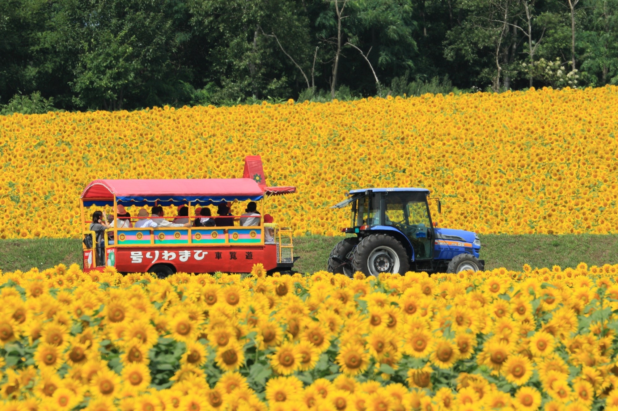 A little bus running in the middle of the field 