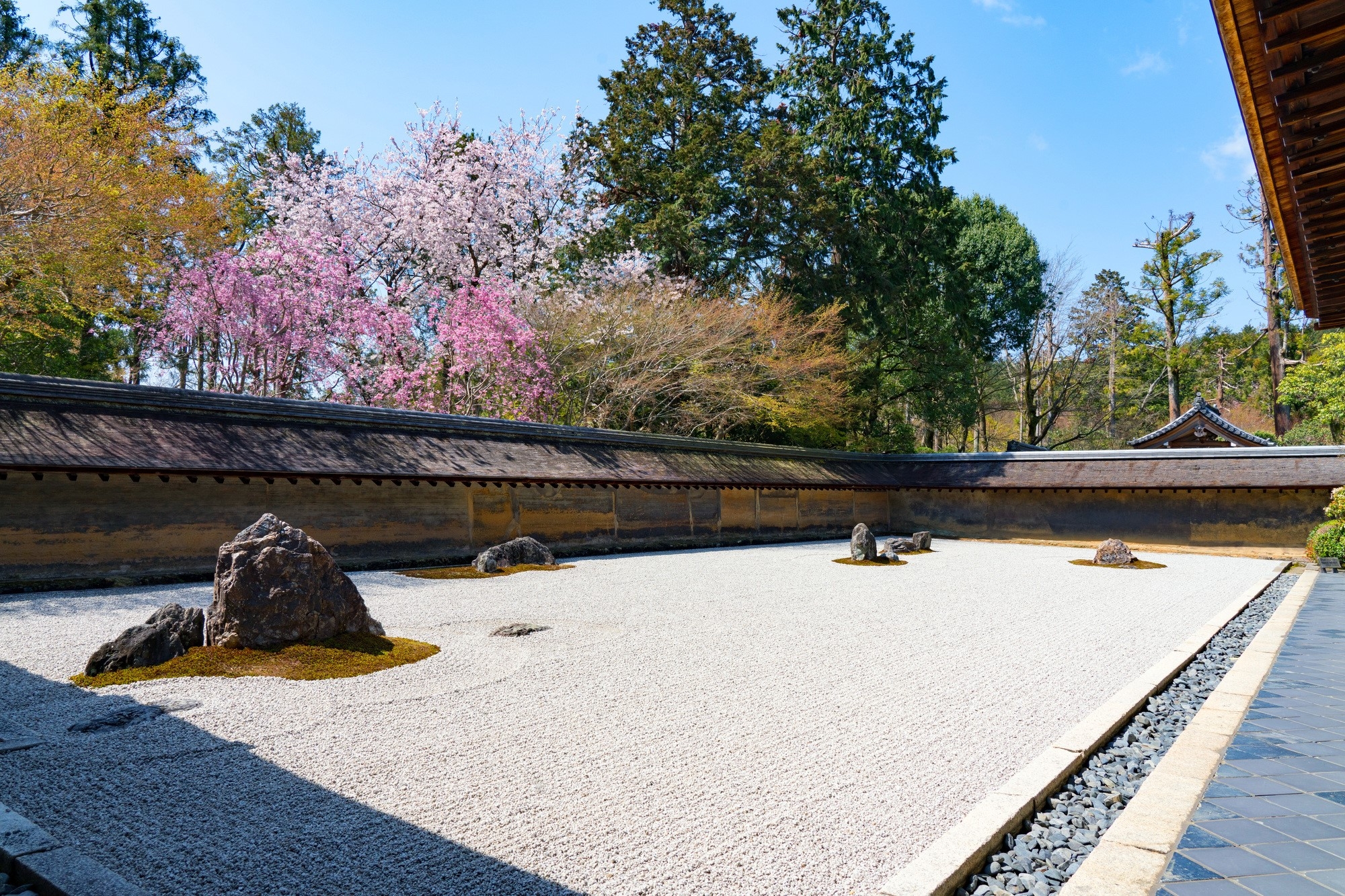 A beautiful zen garden