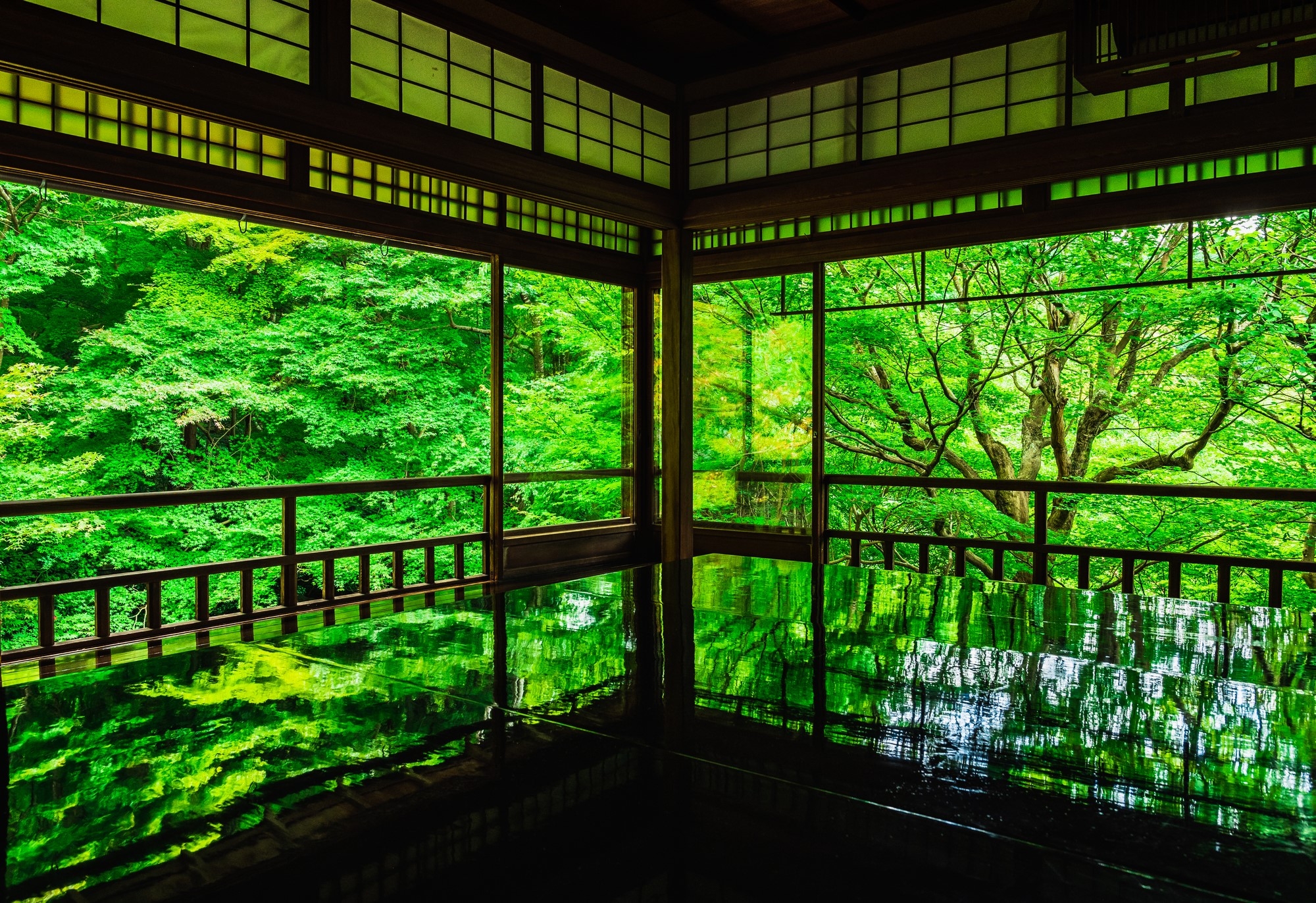 Green trees reflected on a table.