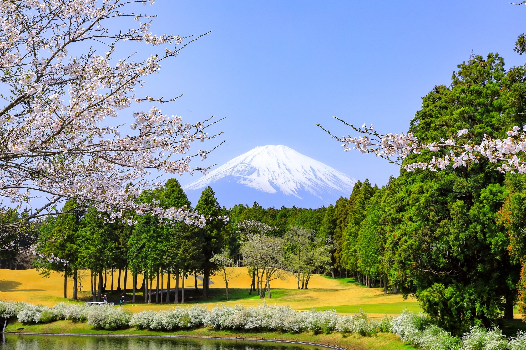 A view of Mt. Fuji behind a golf course