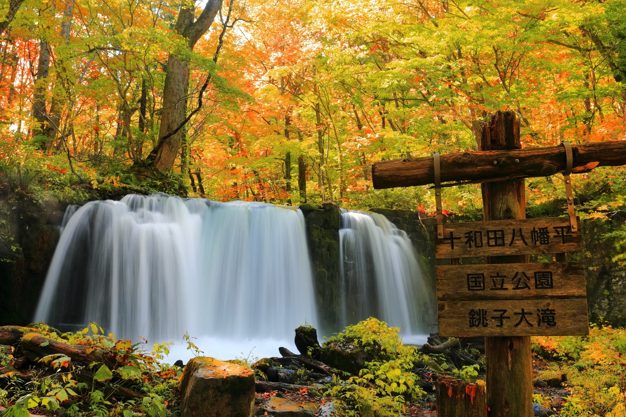 A small waterfall flowing in the autumn forest