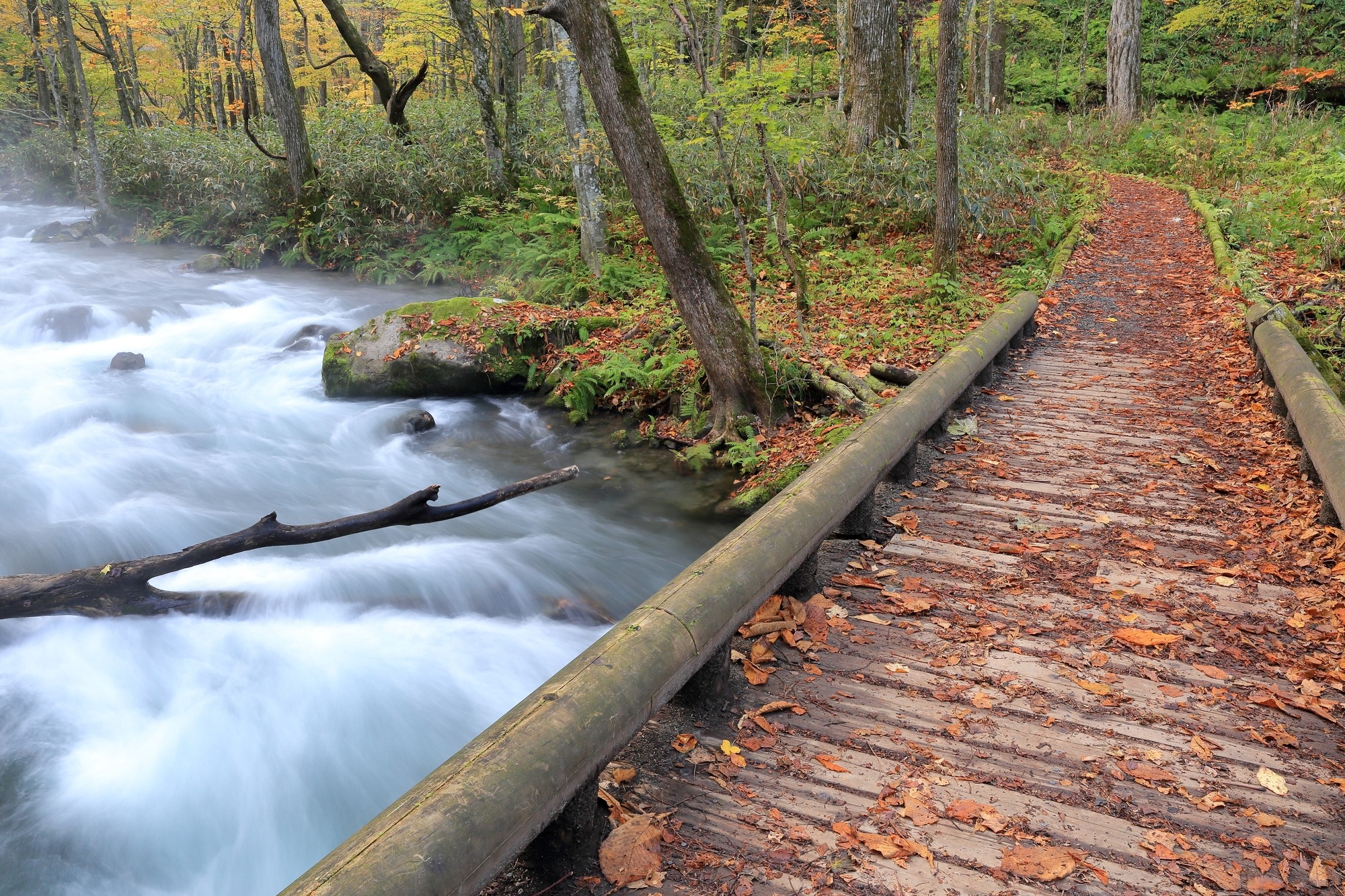 A wooden bridge spanning the river