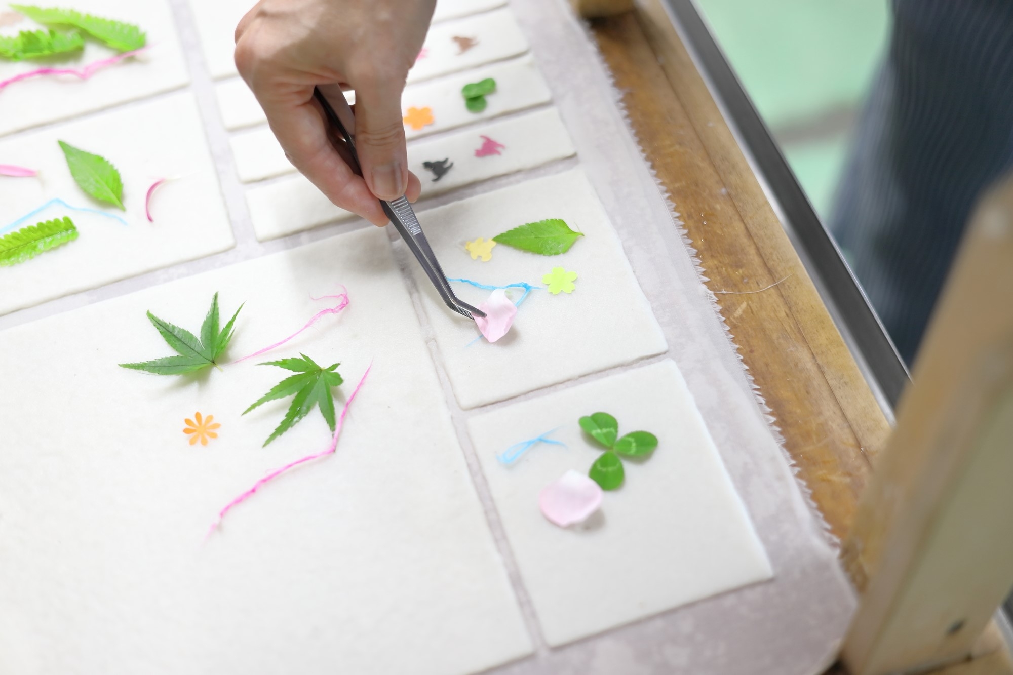 Petals and leaves being placed on paper