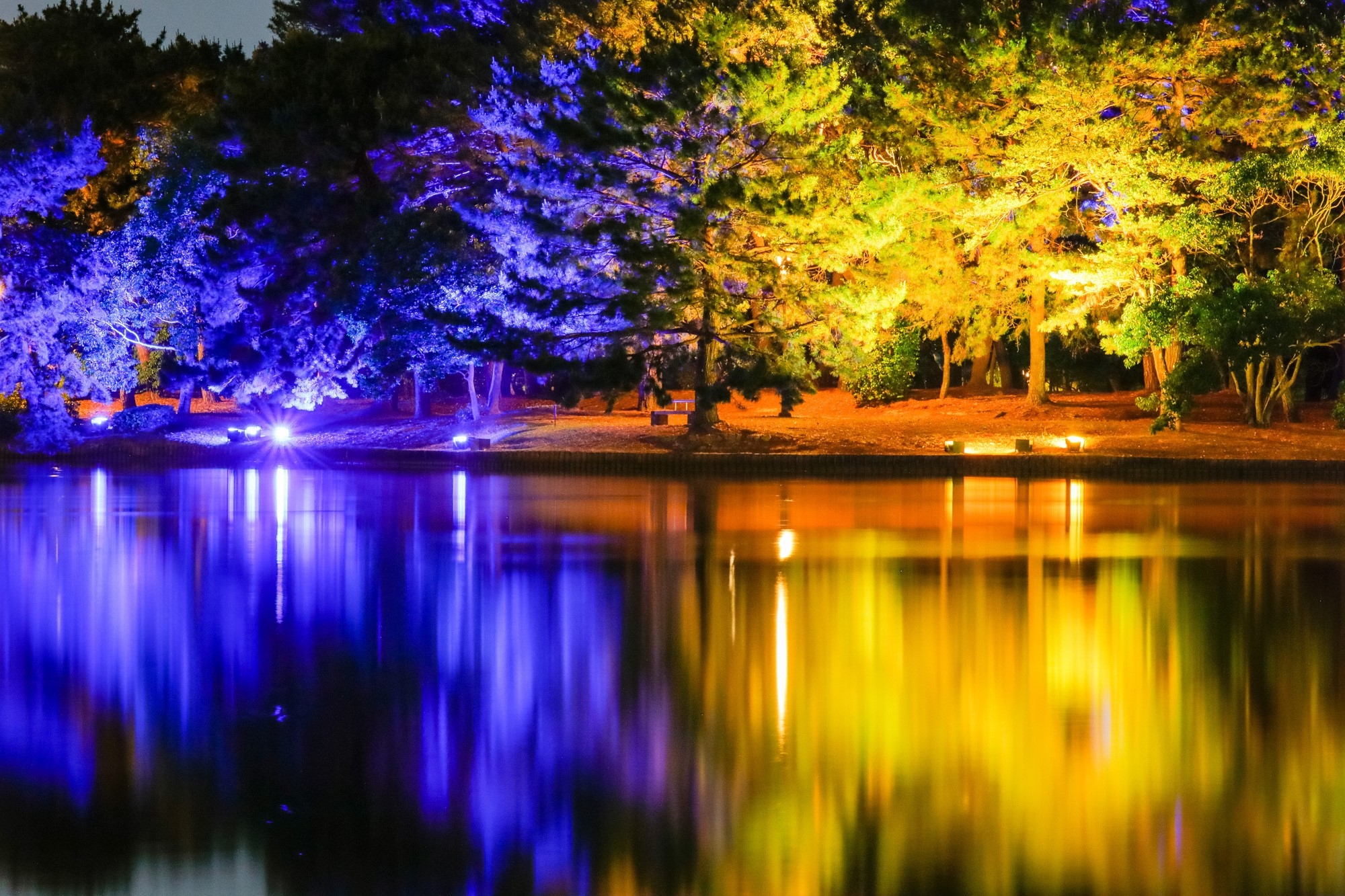 Fukuoka park lit up in Ukraininan flag colors