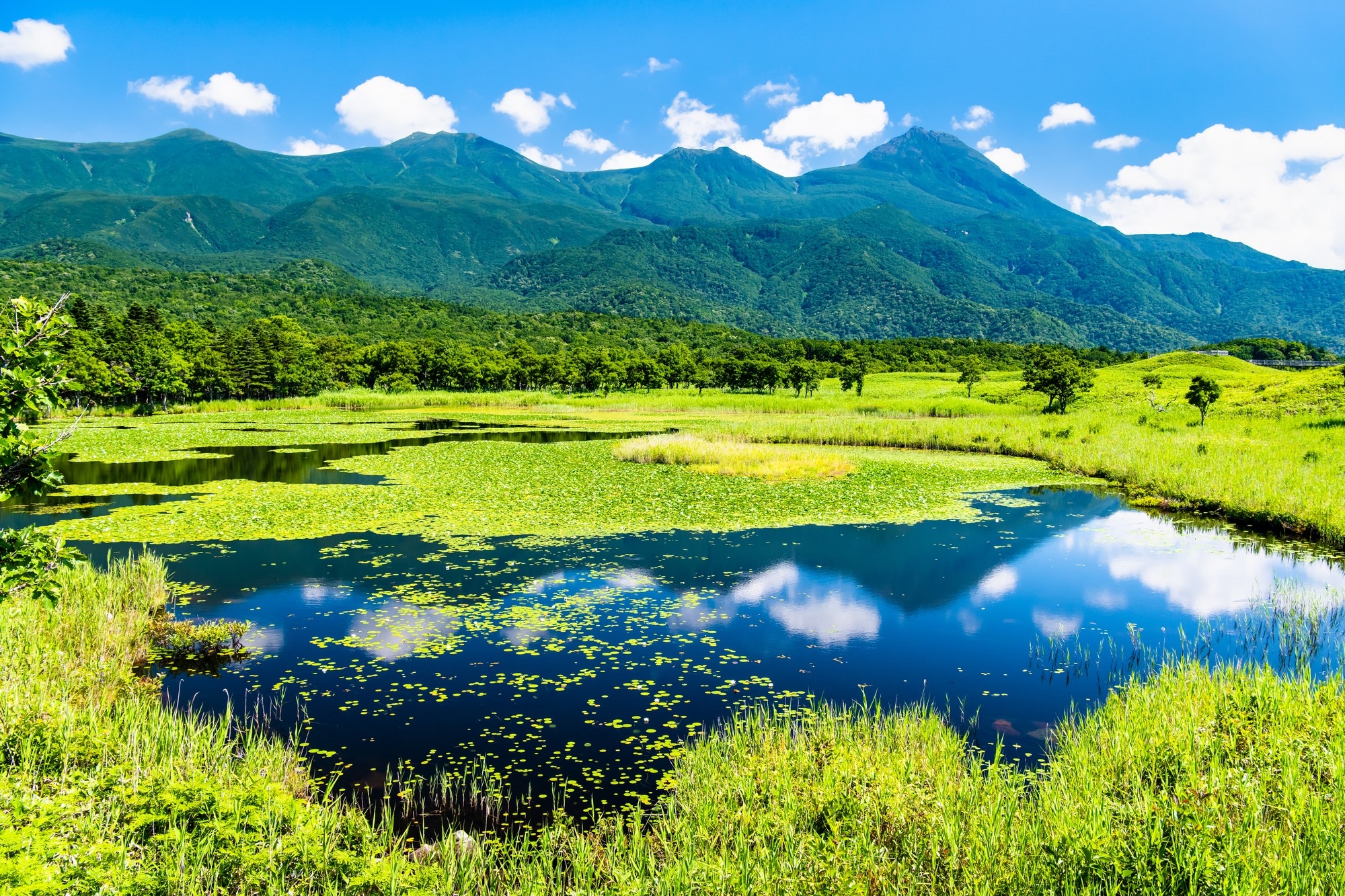 Landscape of mountains and ocean