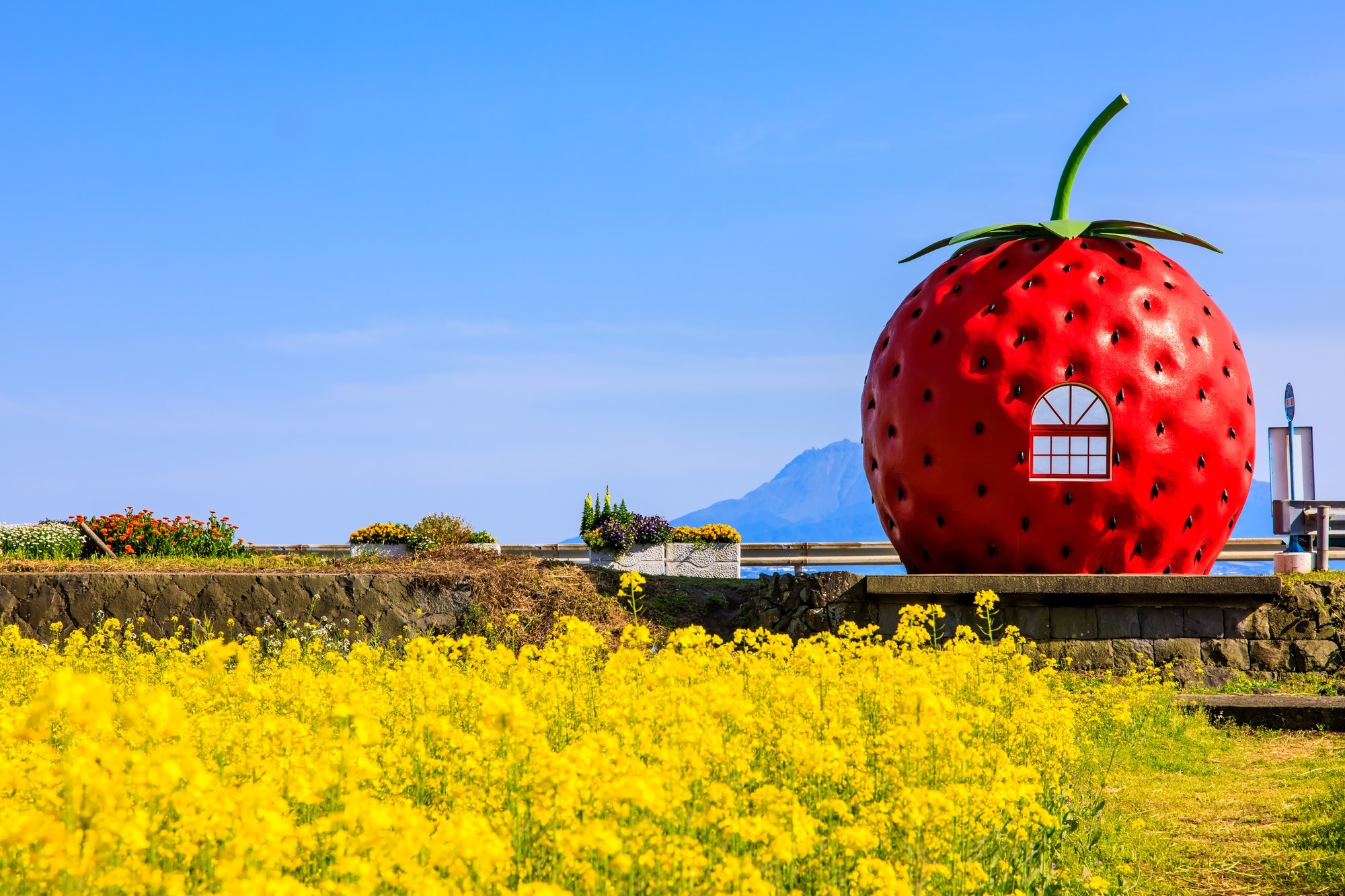 Fruit shaped bus stop in Nagasaki