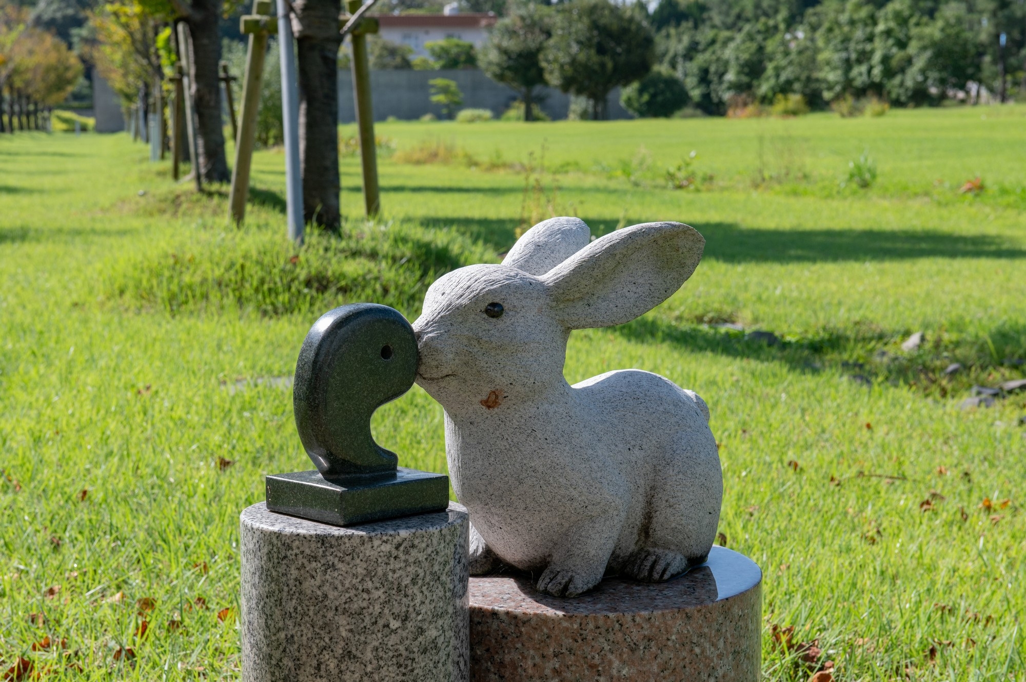 Magatama and Inaba Rabbit in Shimane Prefectural Ancient Izumo Museum 