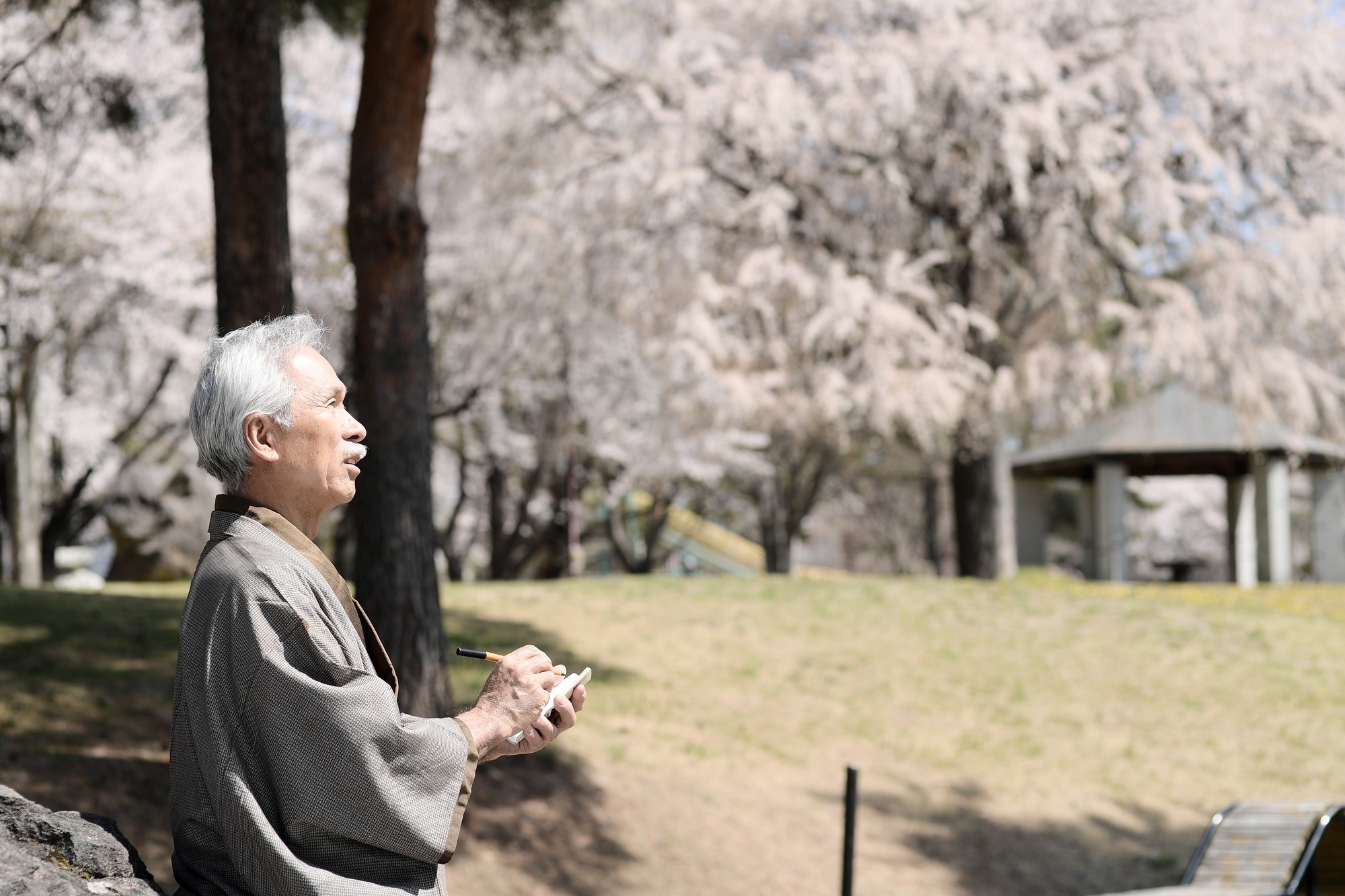 A man thinking of haiku while viewing nature