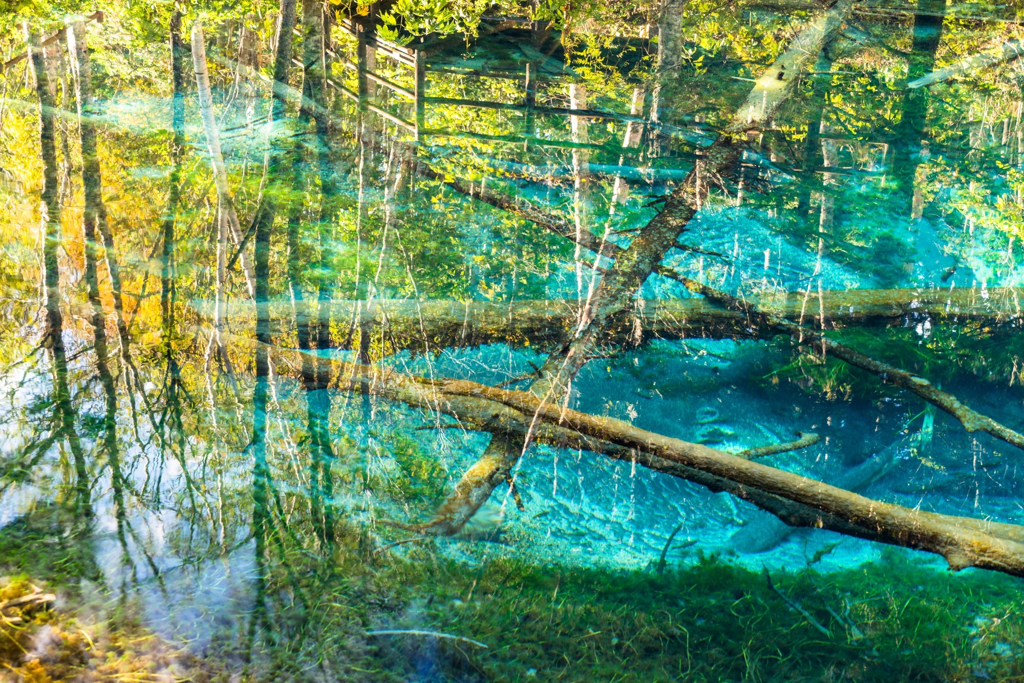 Kaminoko-ike Pond in Hokkaido