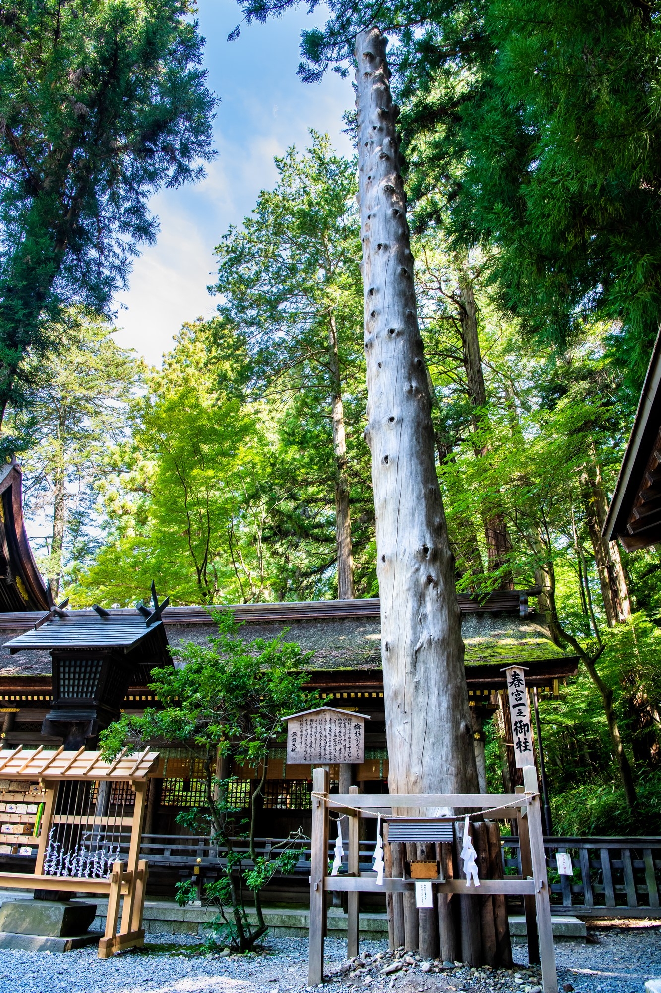 A tree erected at the shrine