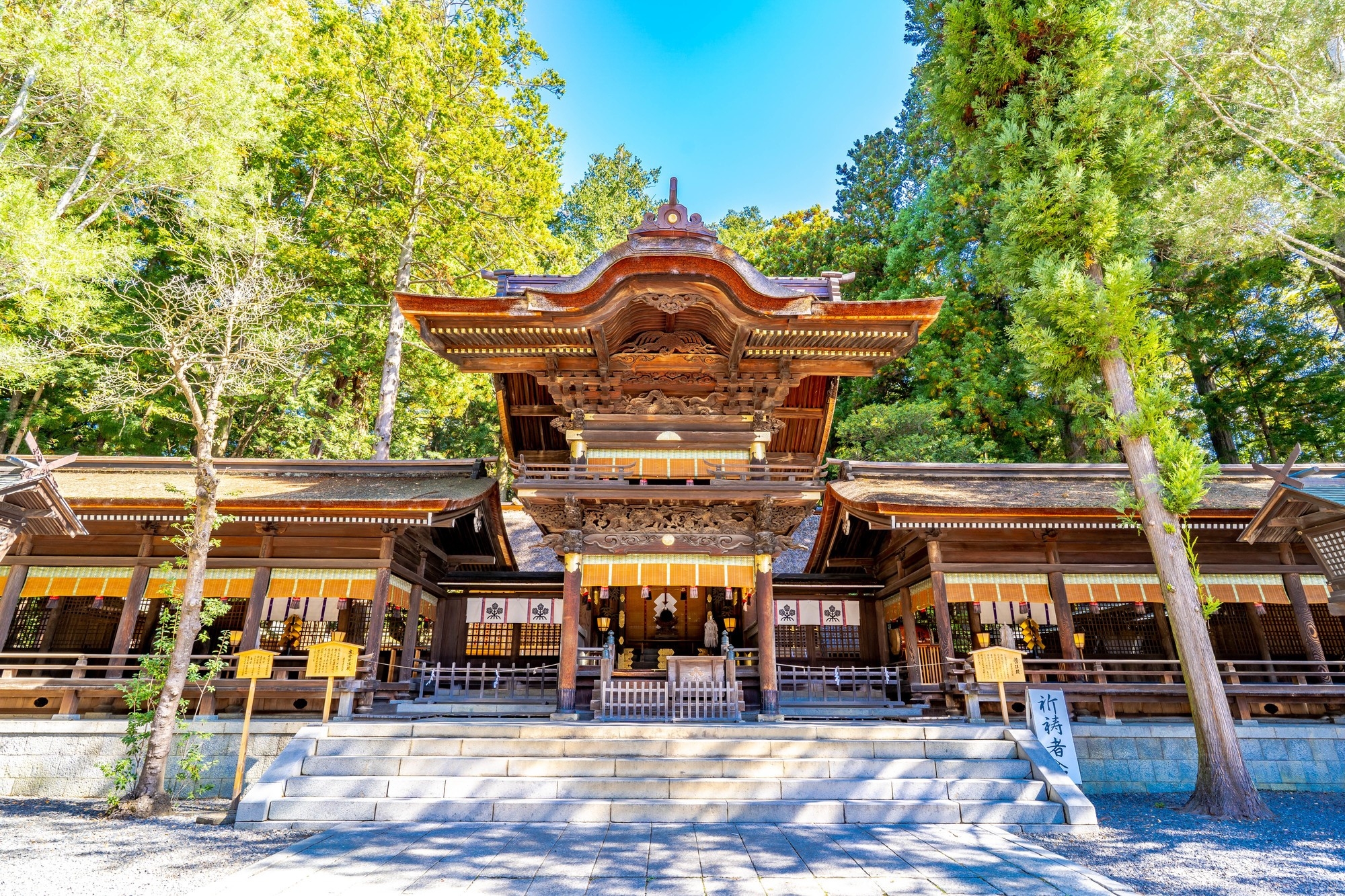 Suwa Taisha Shrine 