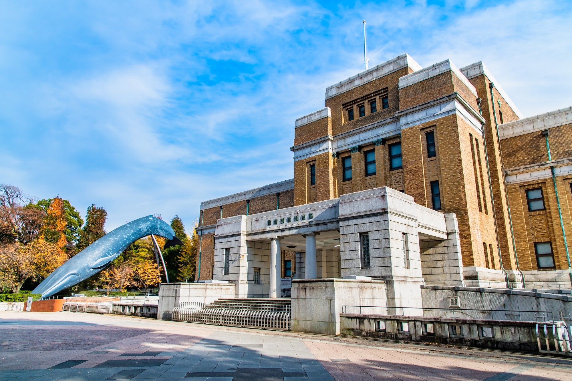 The National Museum of Nature and Science in Ueno