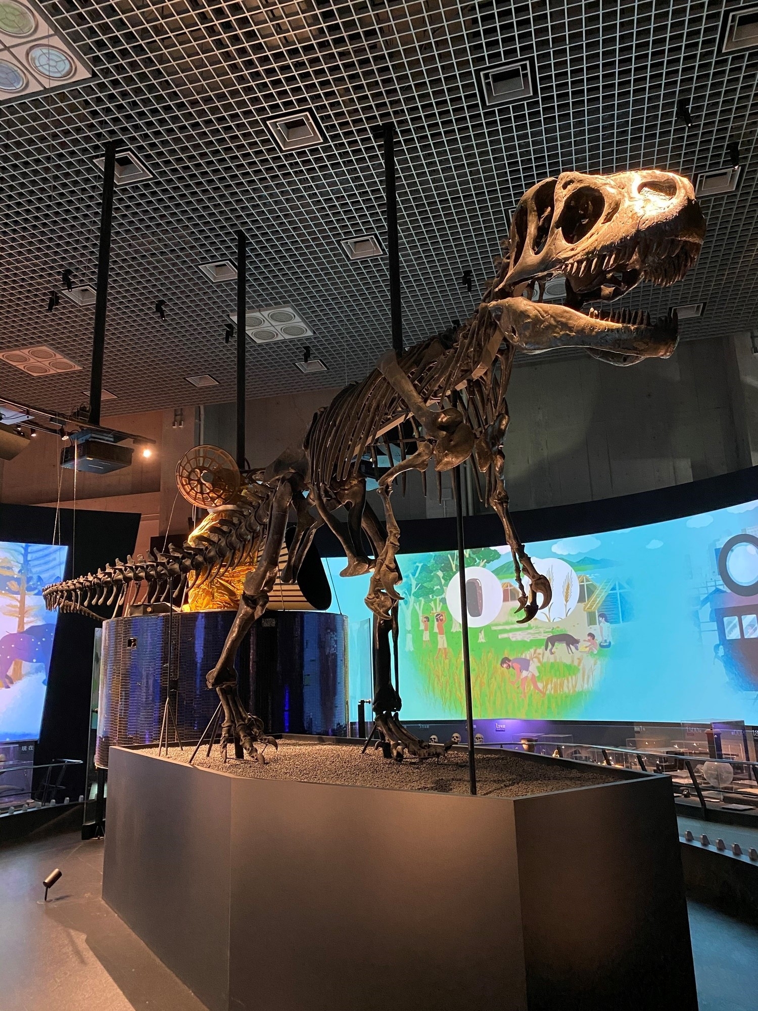 A collection of dinosaur bones at the National Museum of Nature and Science