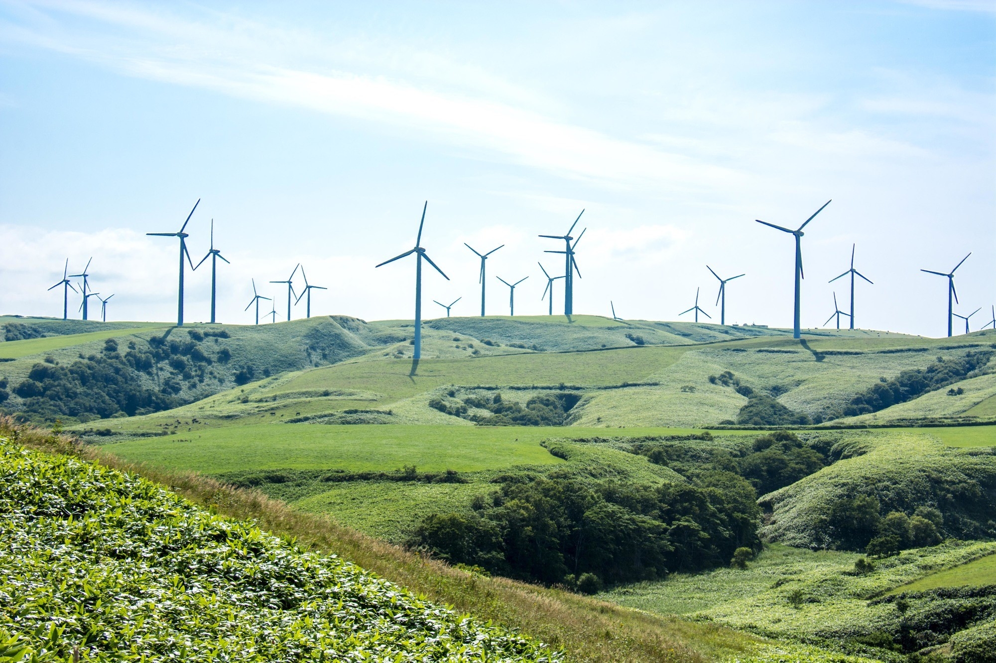 A wind farm in Soya Hills, Hokkaido