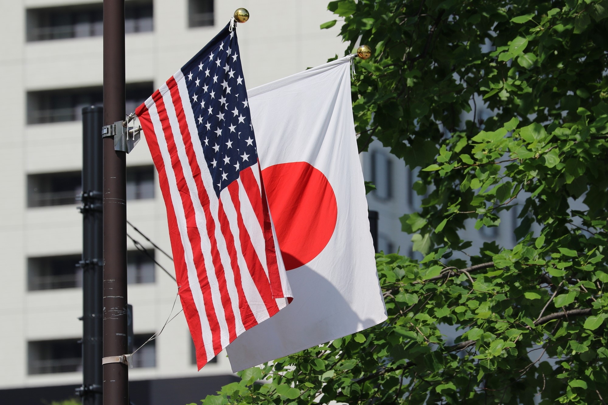 Flags of Japan and the United States