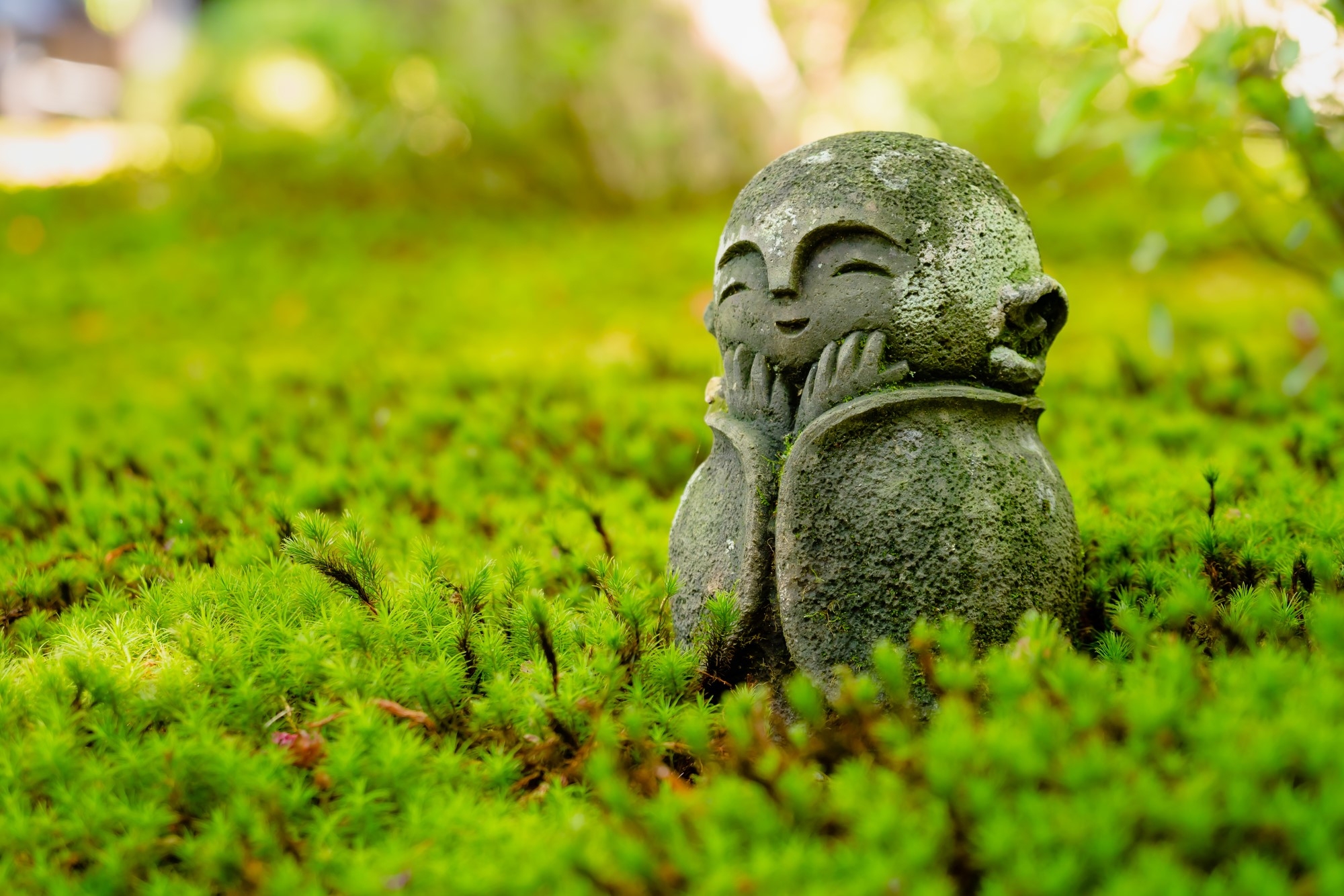 A Jizo on grass