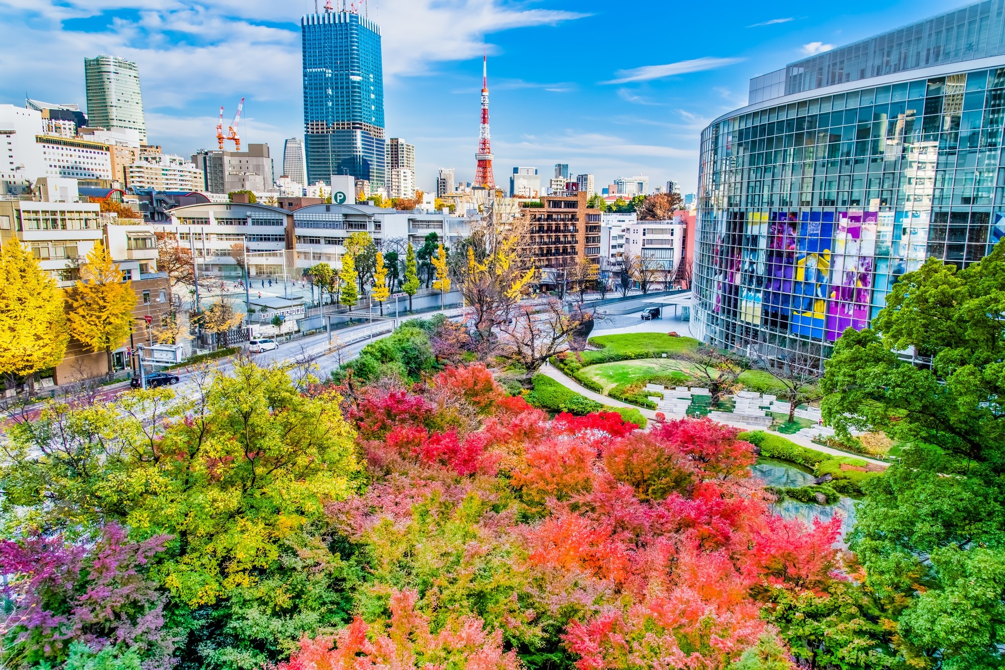 An aerial view of Mohri Garden with brightly colored trees