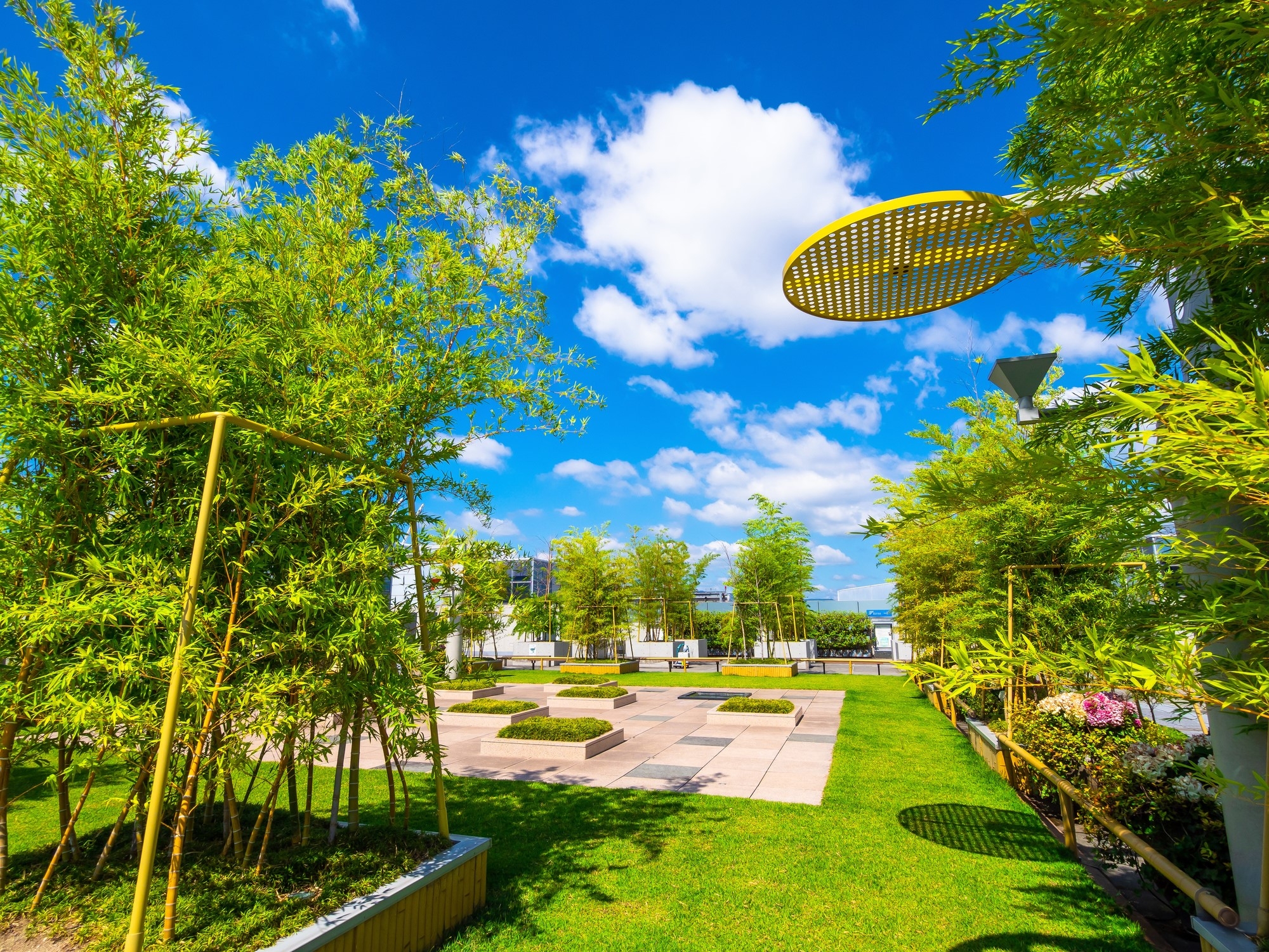 Rooftop garden with lush green trees