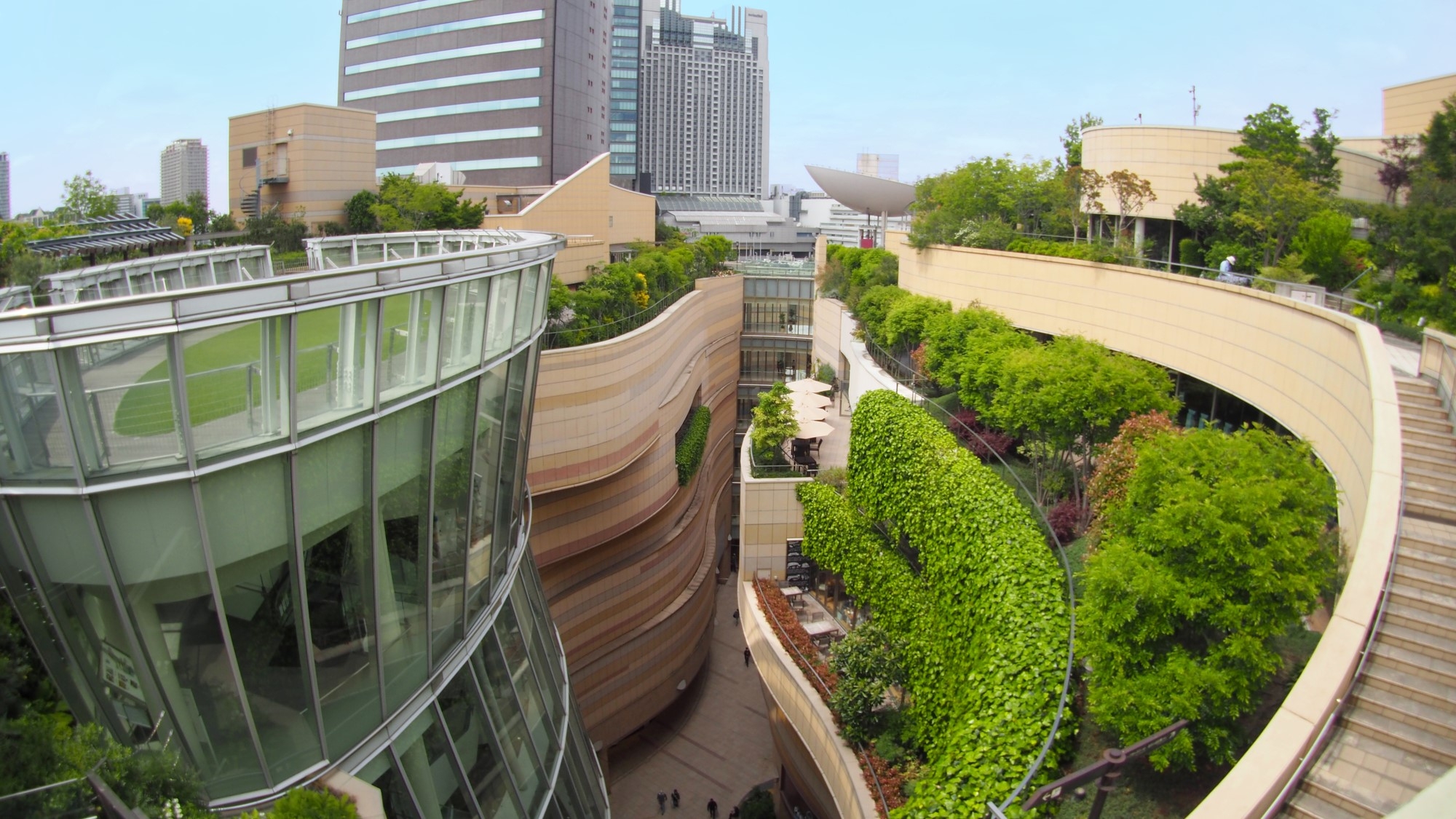 Greenery planted in the free space of a building