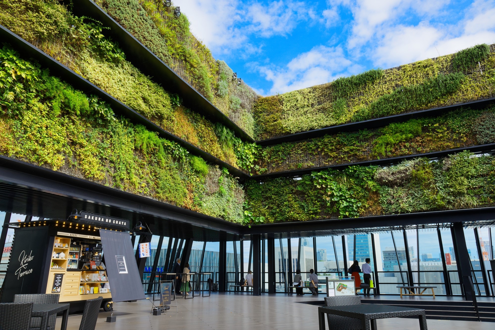 Greenery wall installed on a rooftop